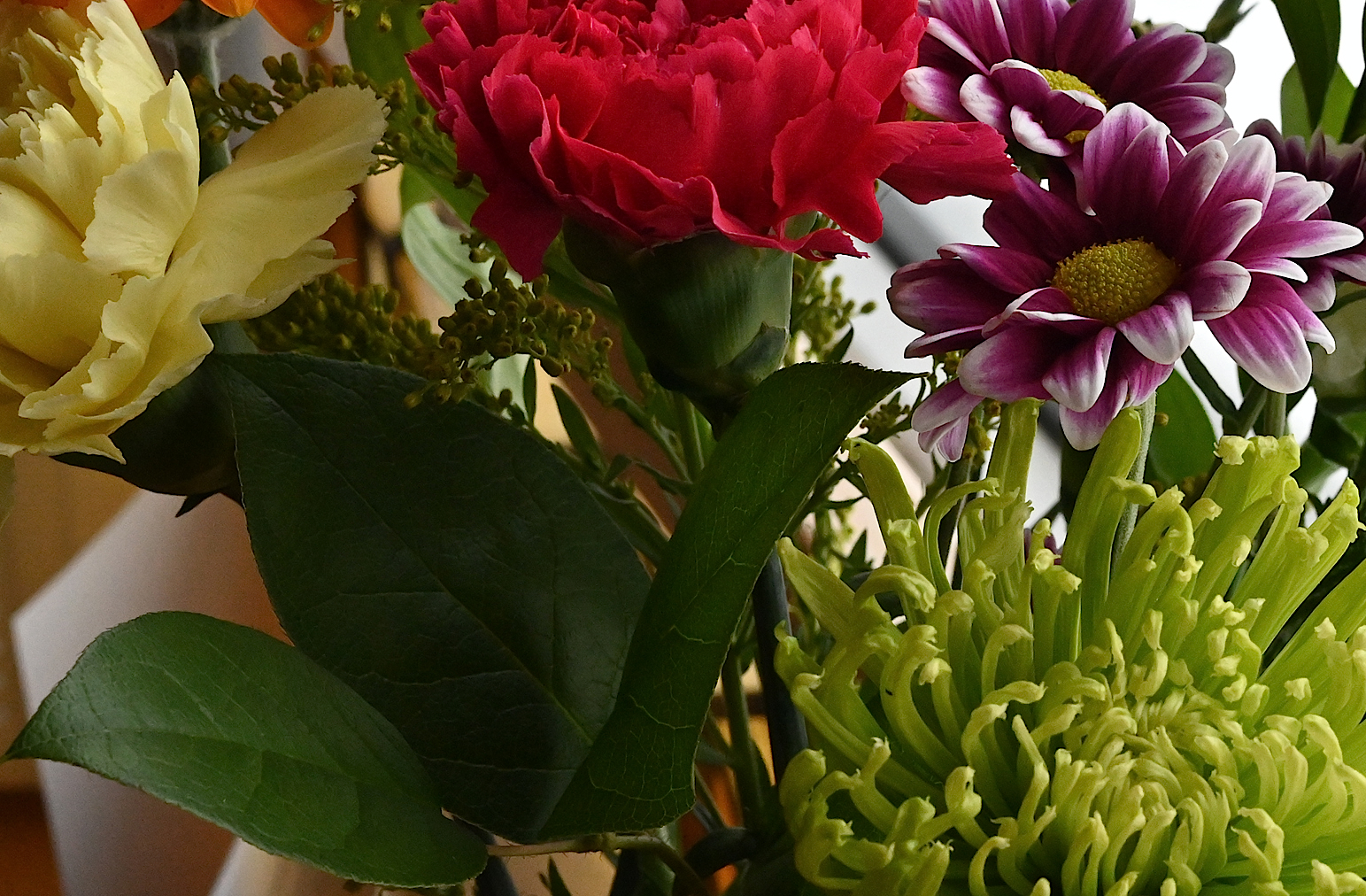 DSC_0588b.jpg
