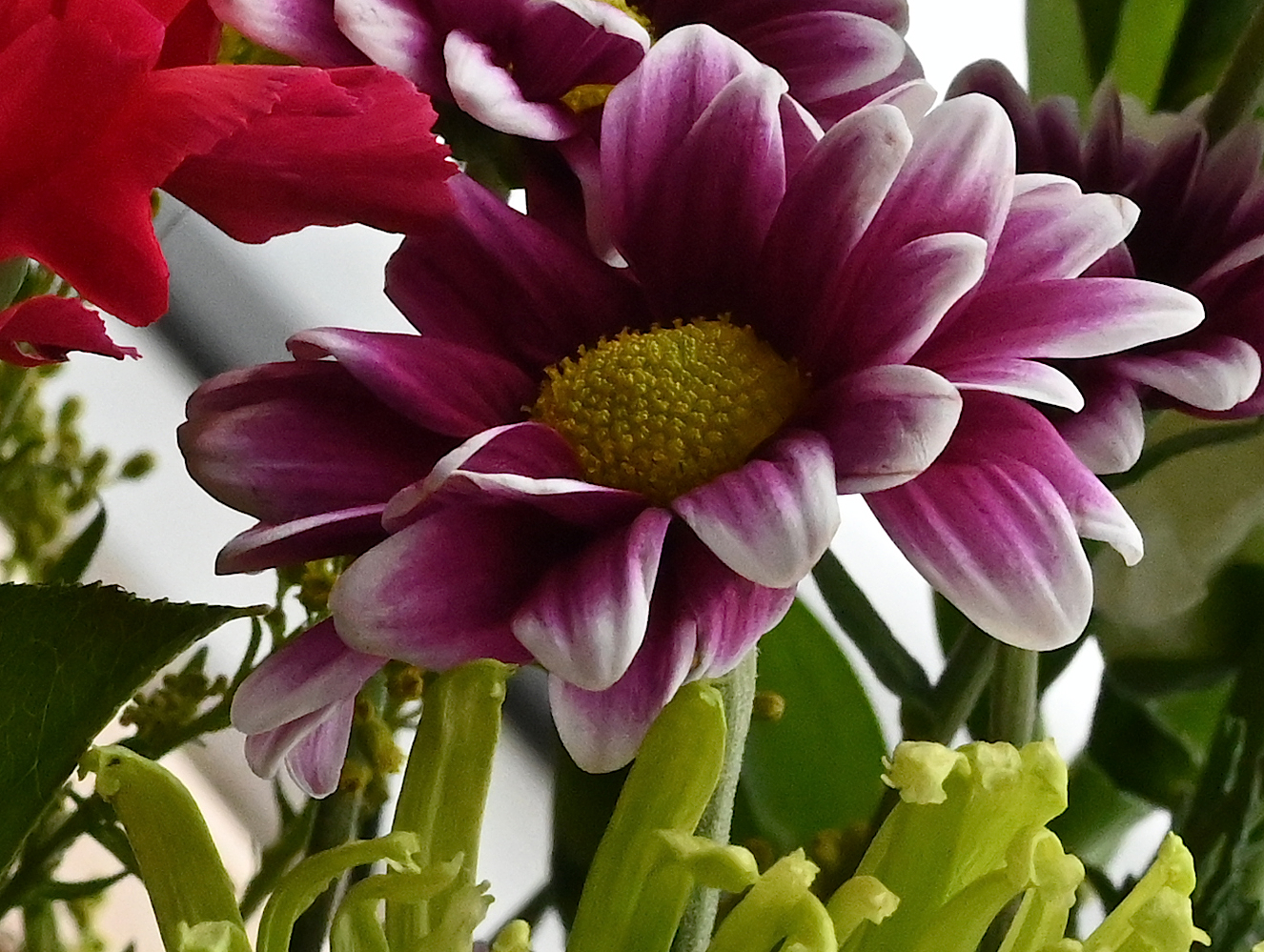 DSC_0588c.jpg