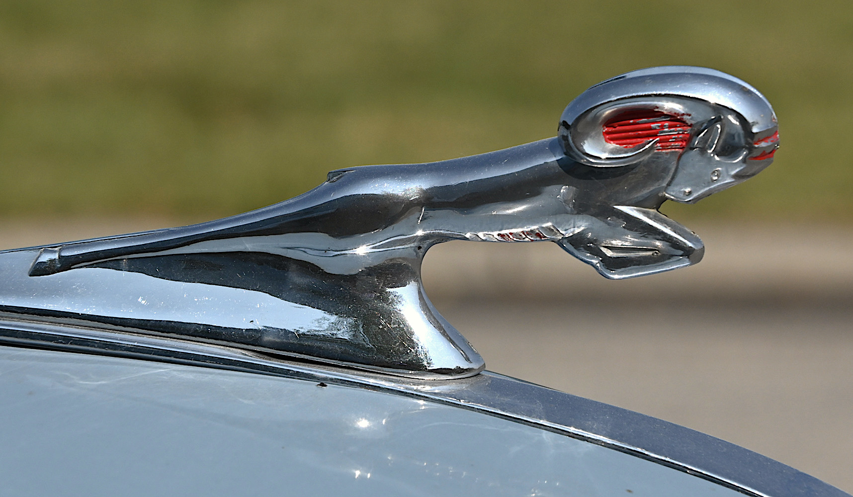 DSC_0665.jpg