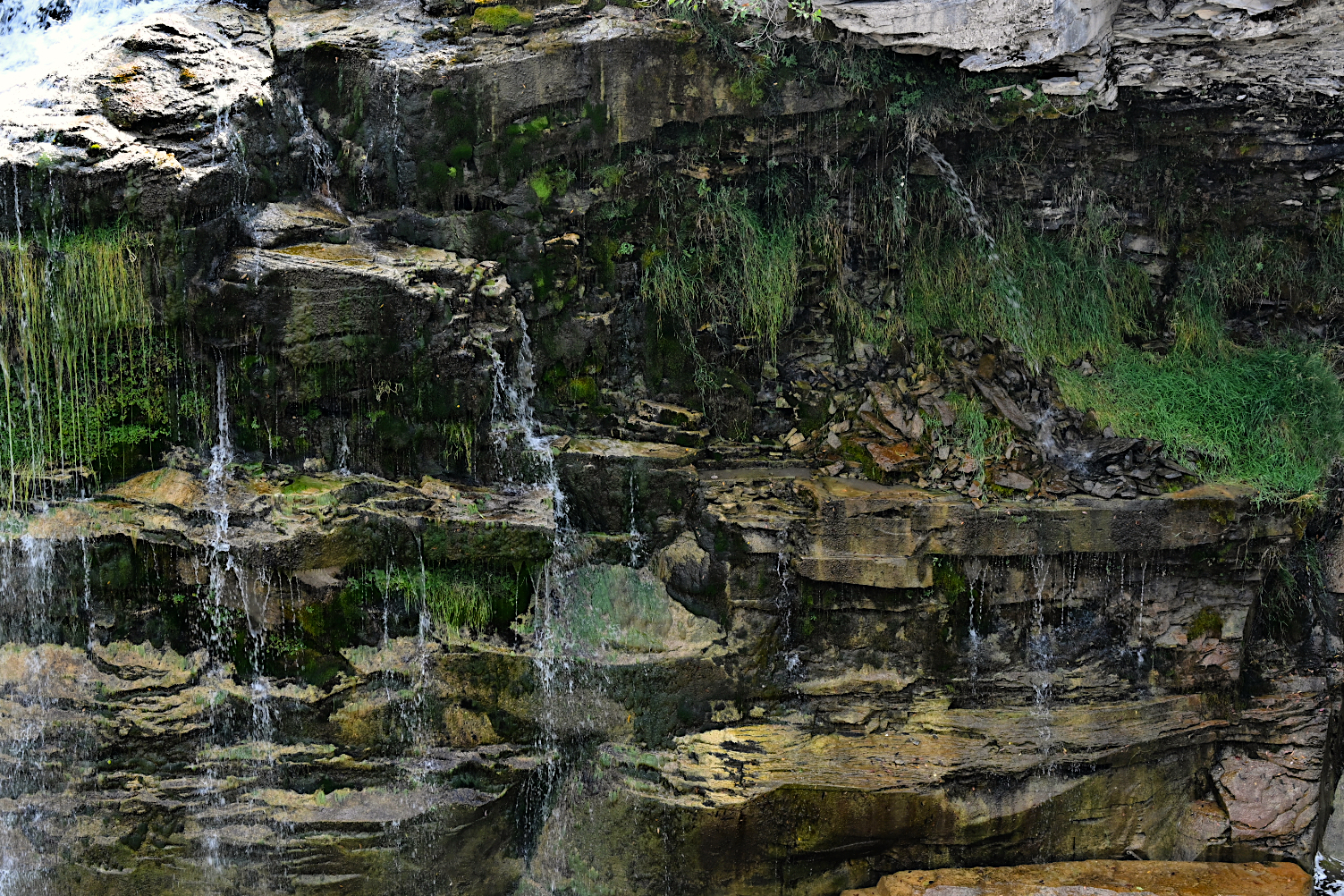 DSC_0731A.jpg