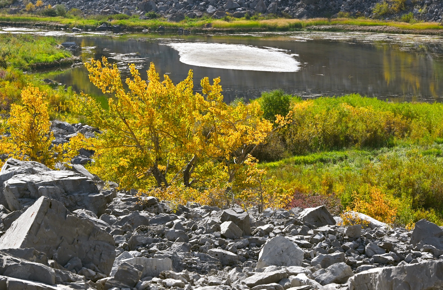 DSC_0736A.jpg