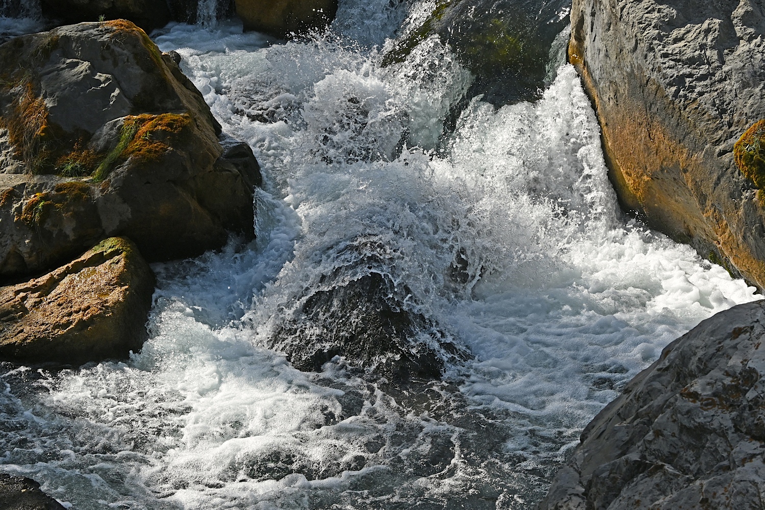 DSC_0749A.jpg