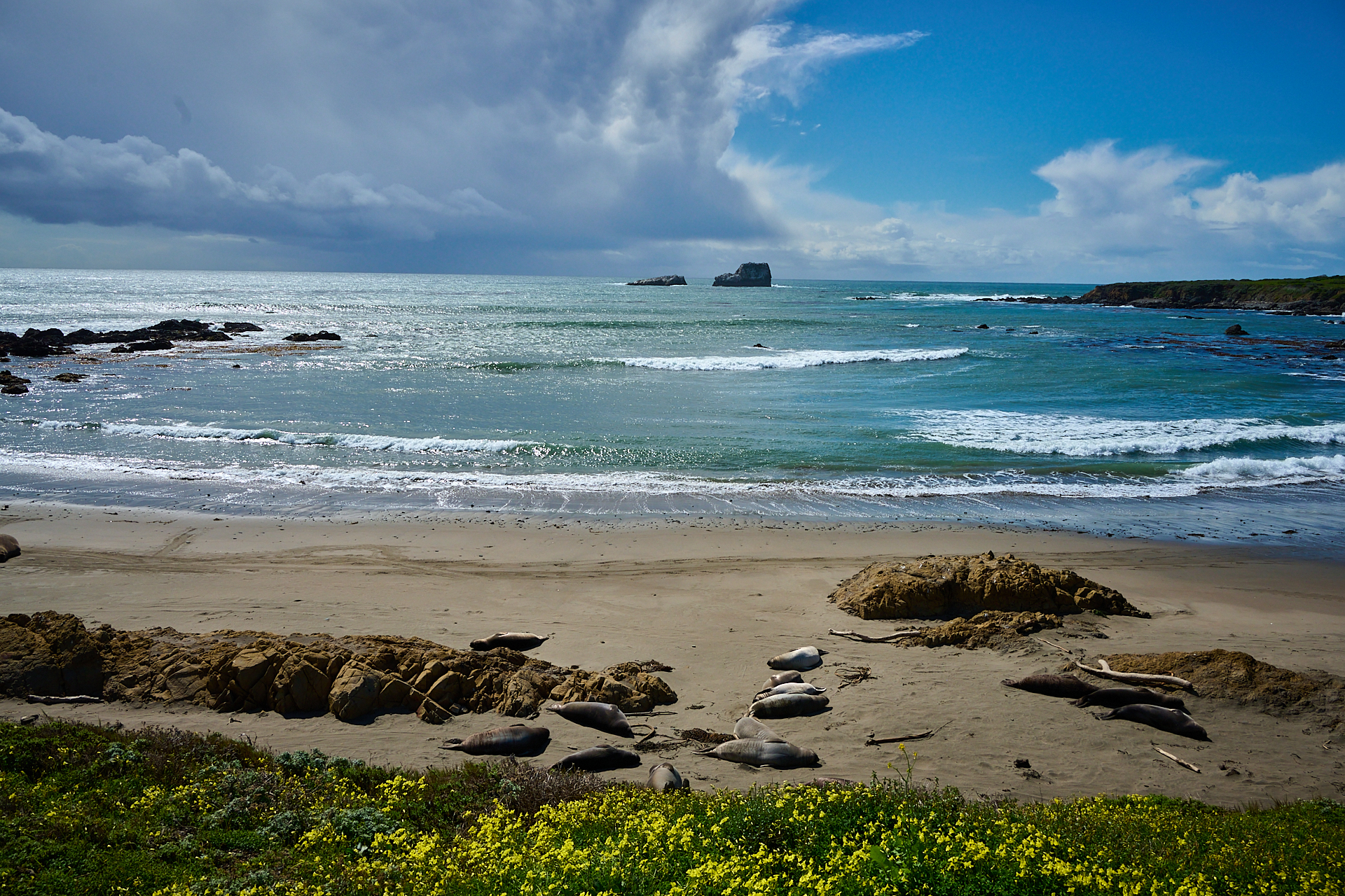 DSC_1171.jpg