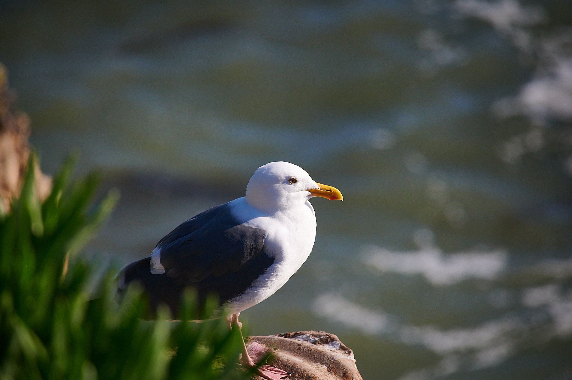 DSC_1449.jpg