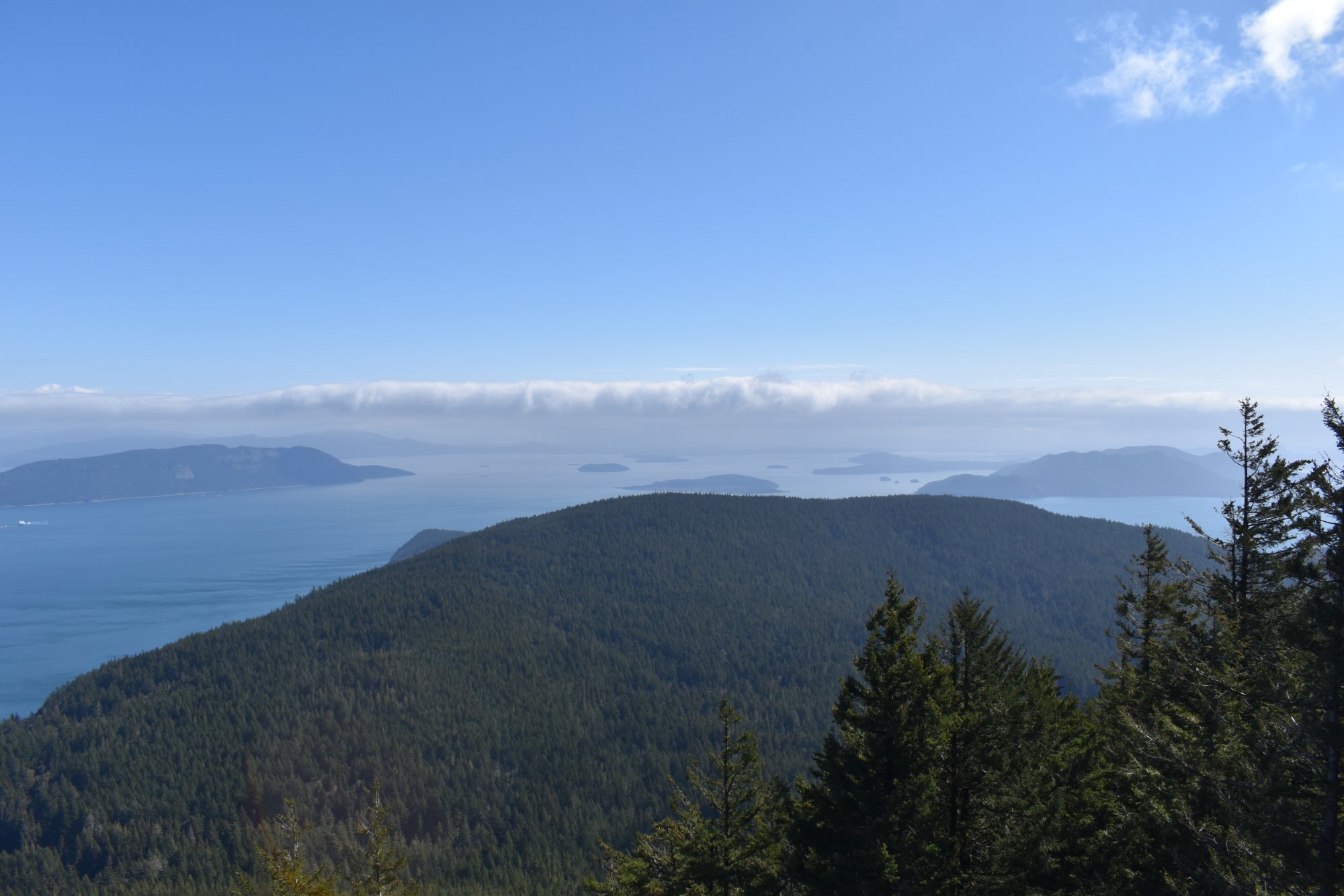 DSC_1491.jpg