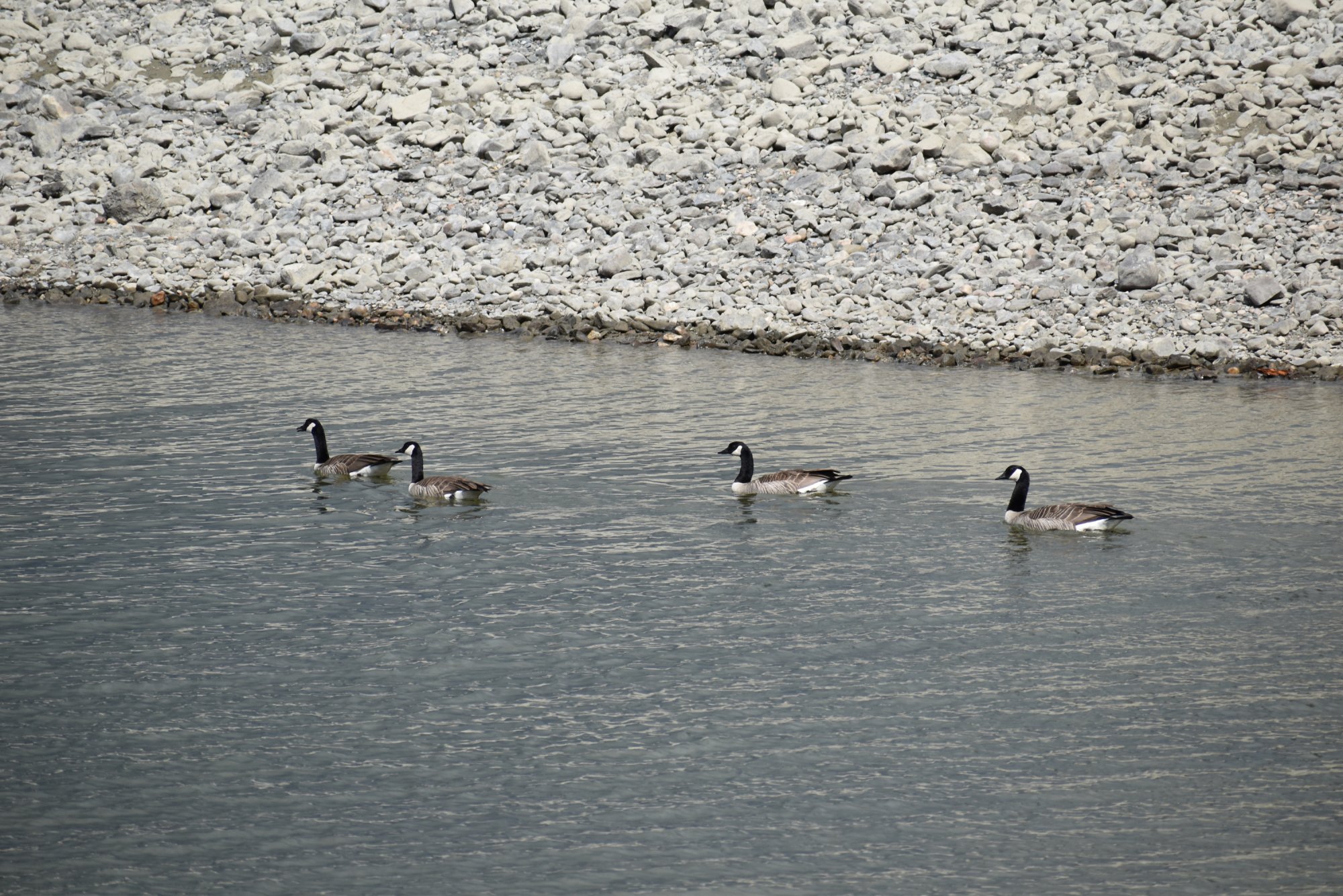 DSC_1635.JPG