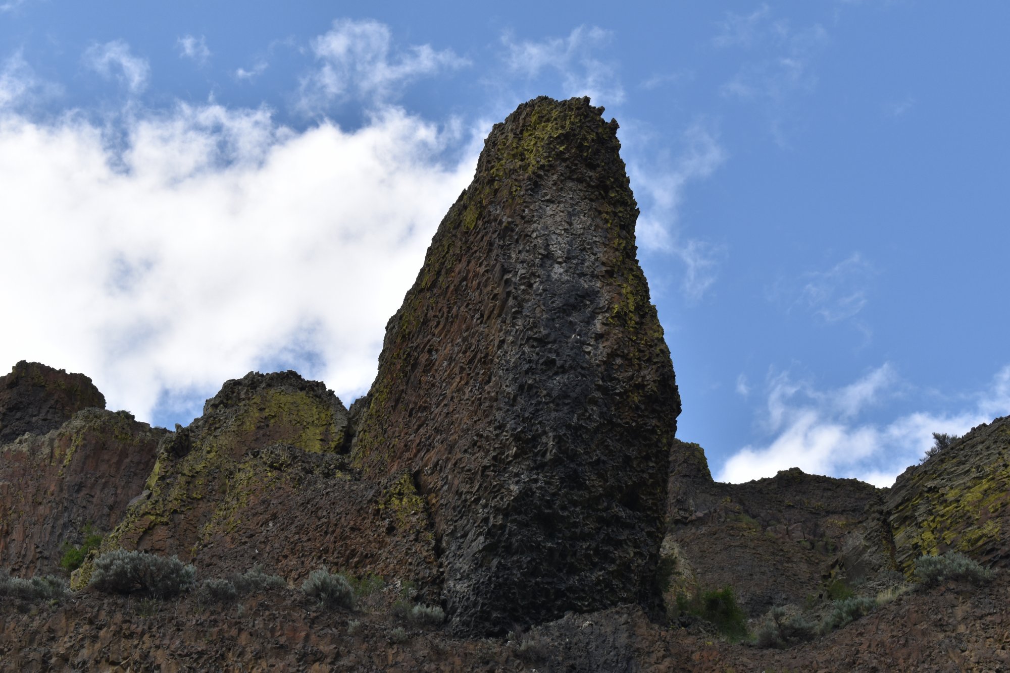 DSC_1701.JPG