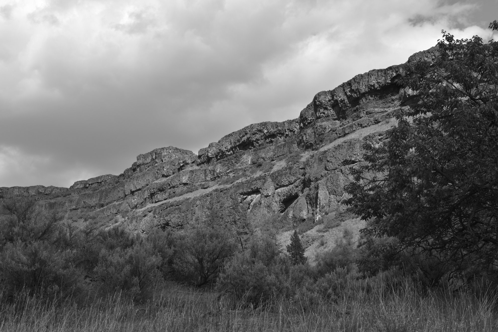DSC_1724.JPG