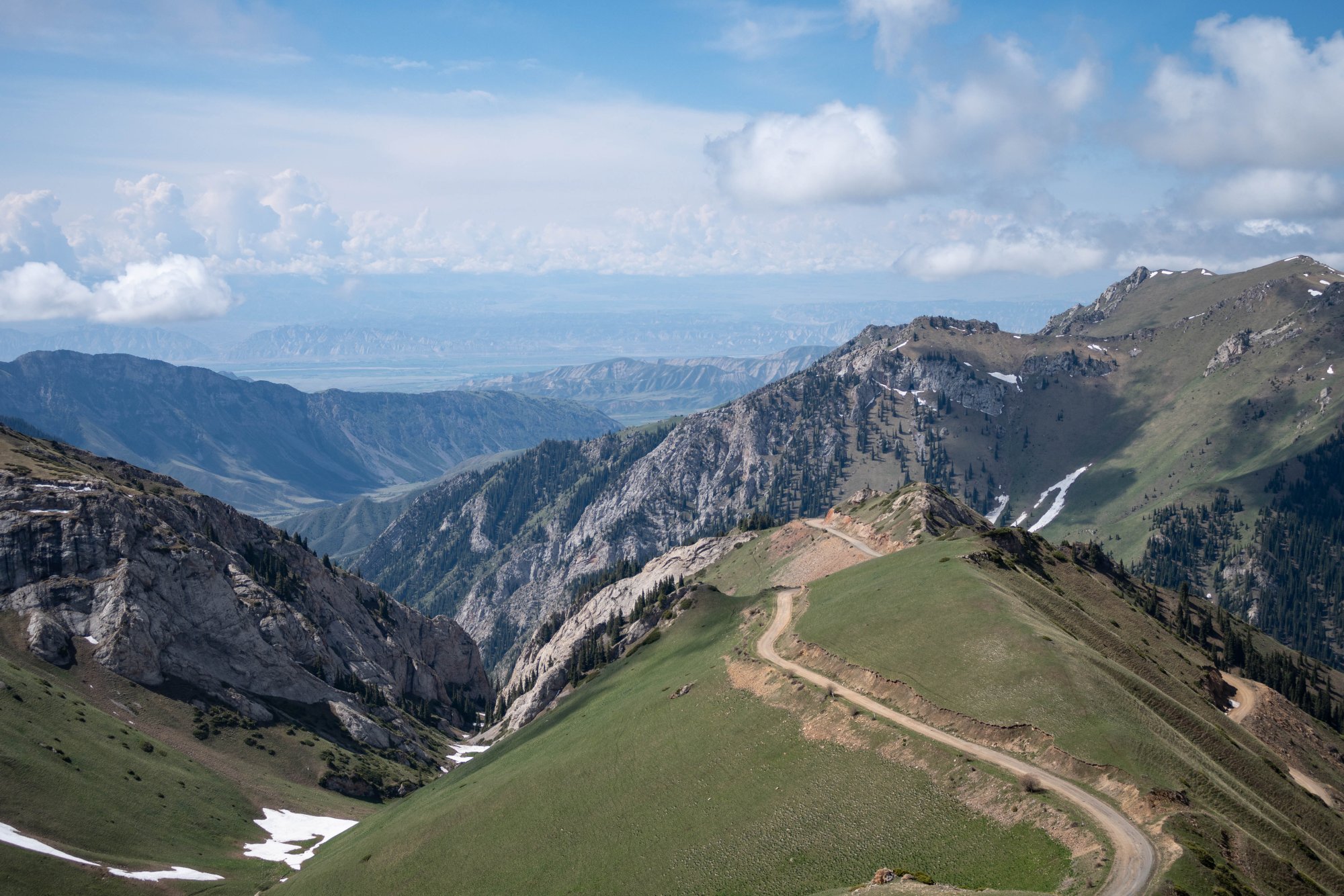DSC_2312.jpg