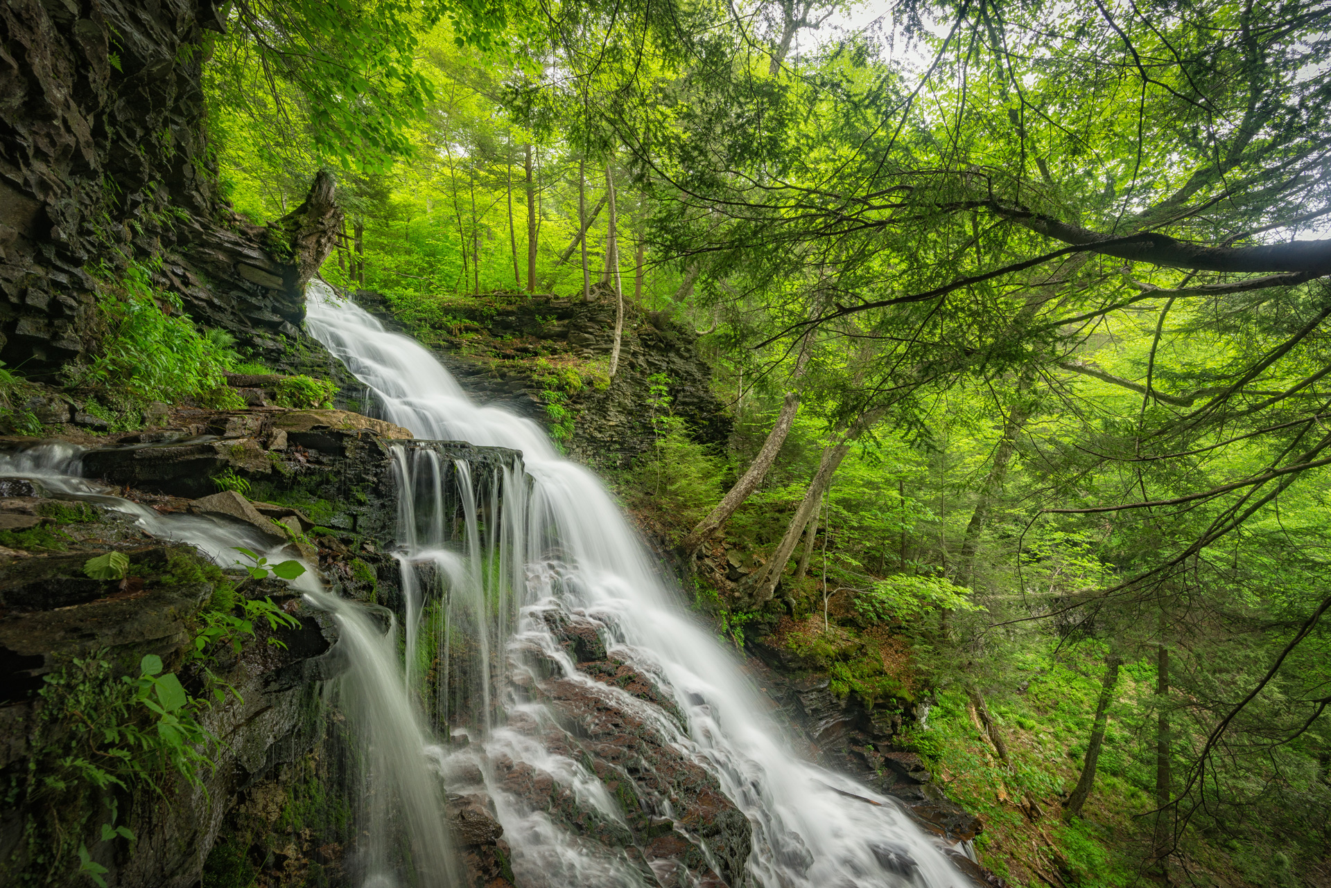 DSC_9239-Edit.jpg
