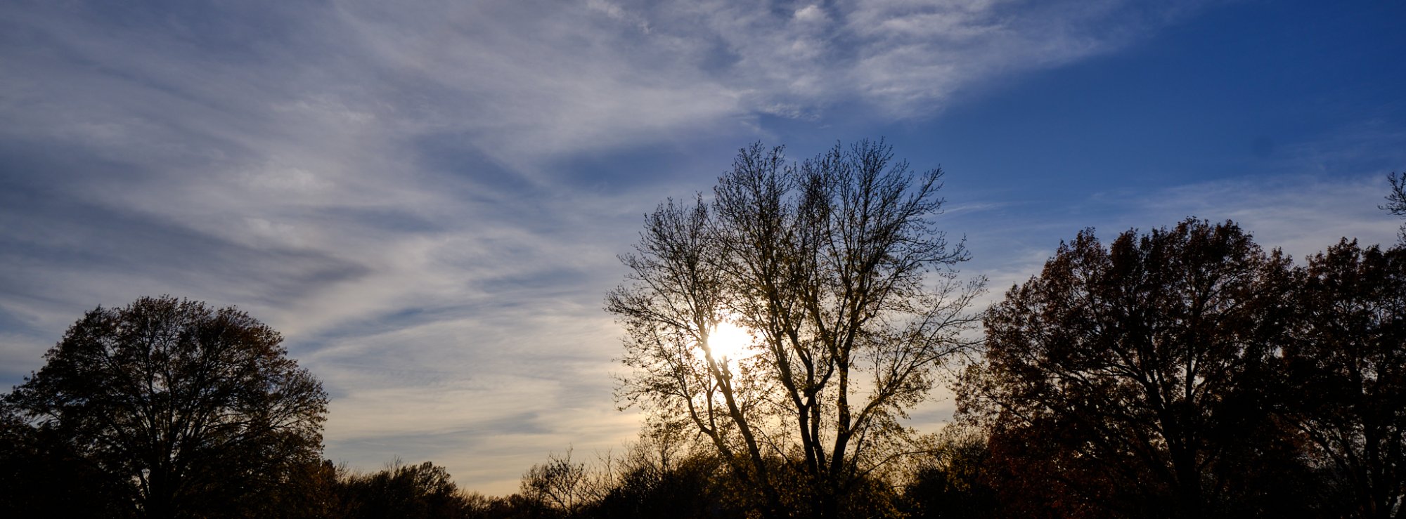 DSCF0193.jpg