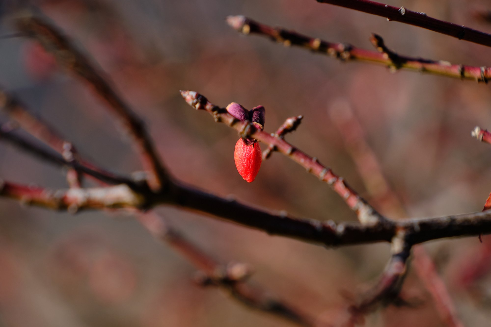 DSCF0289.jpg