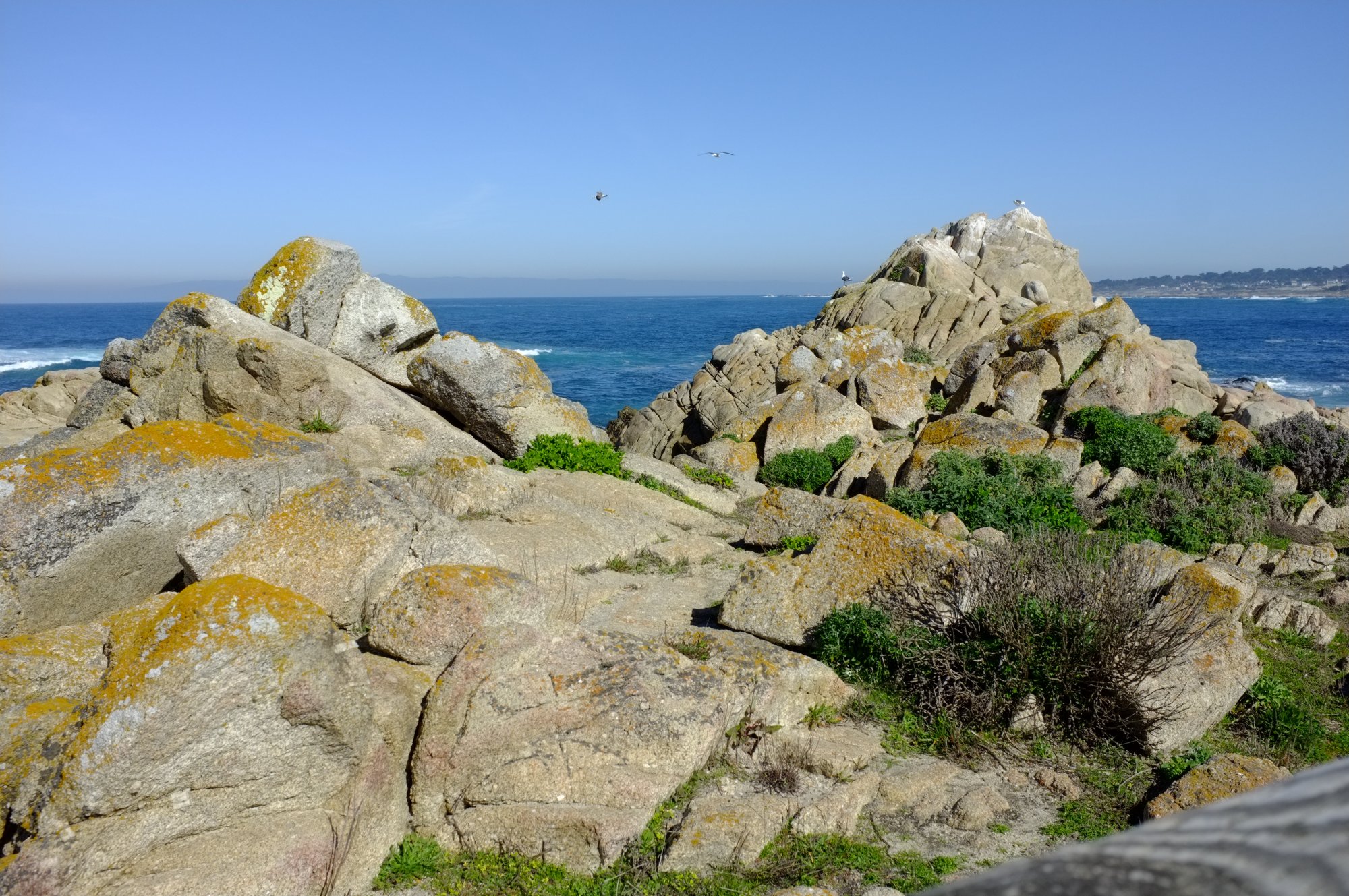 DSCF0705.JPG