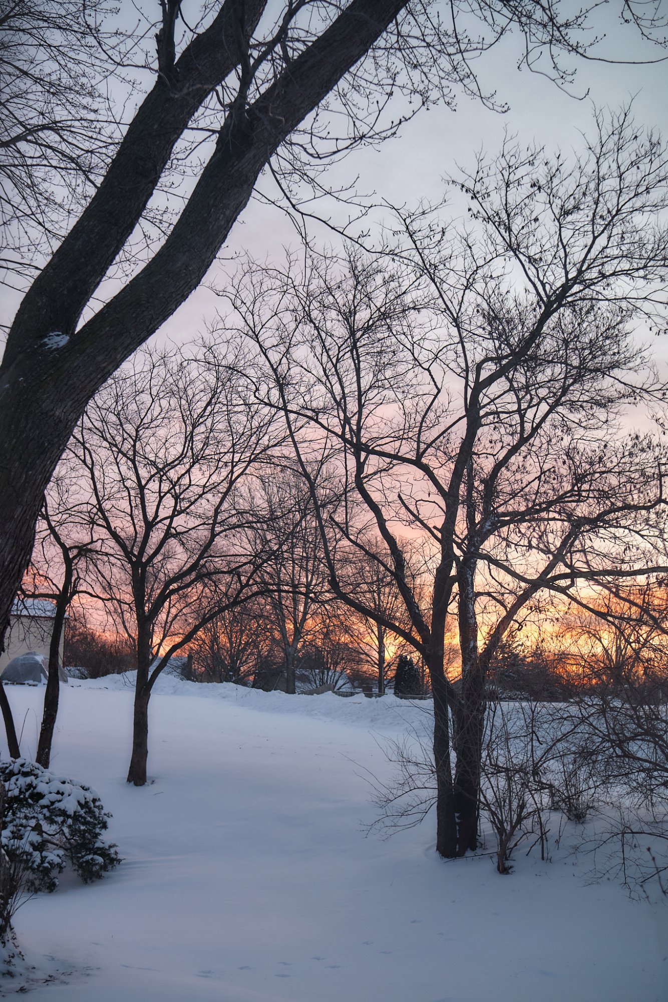 DSCF0978 1.jpg