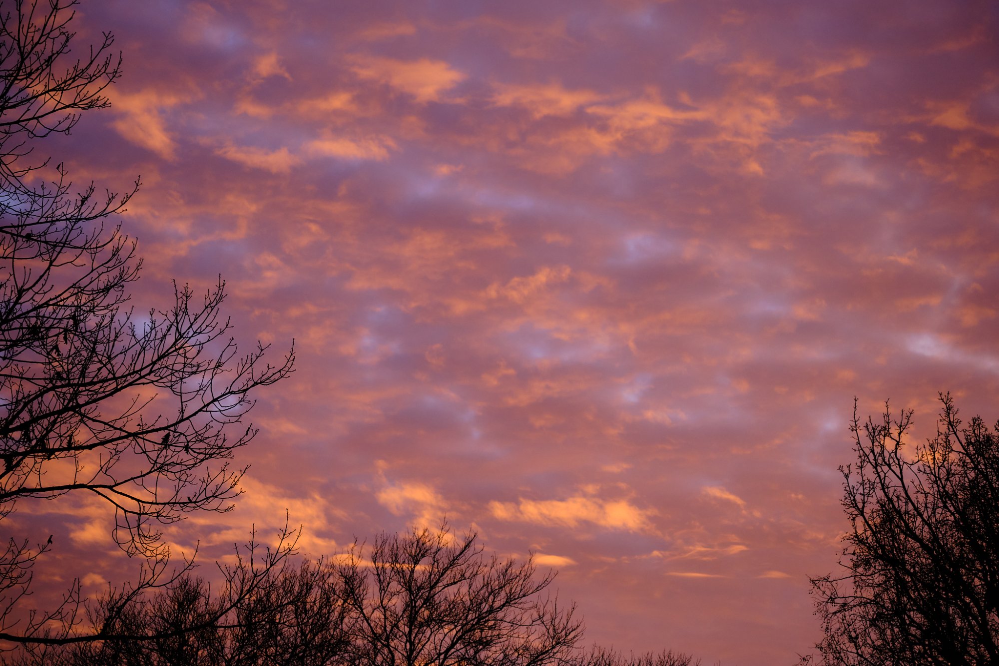 DSCF1104.jpg