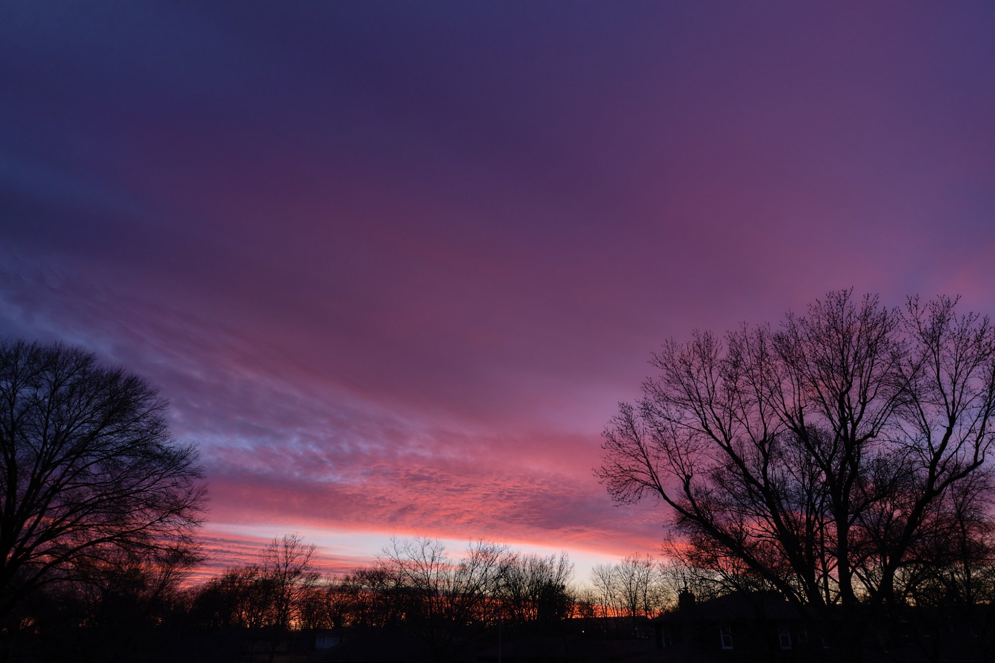 DSCF1107.jpg