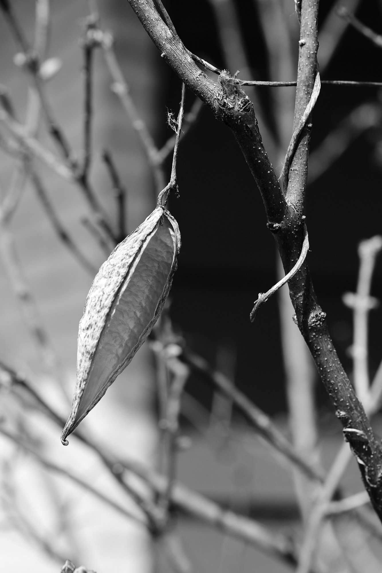 DSCF1128.jpg