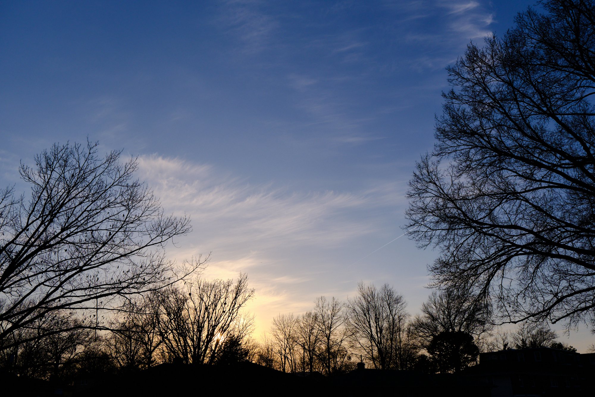 DSCF1175.jpg