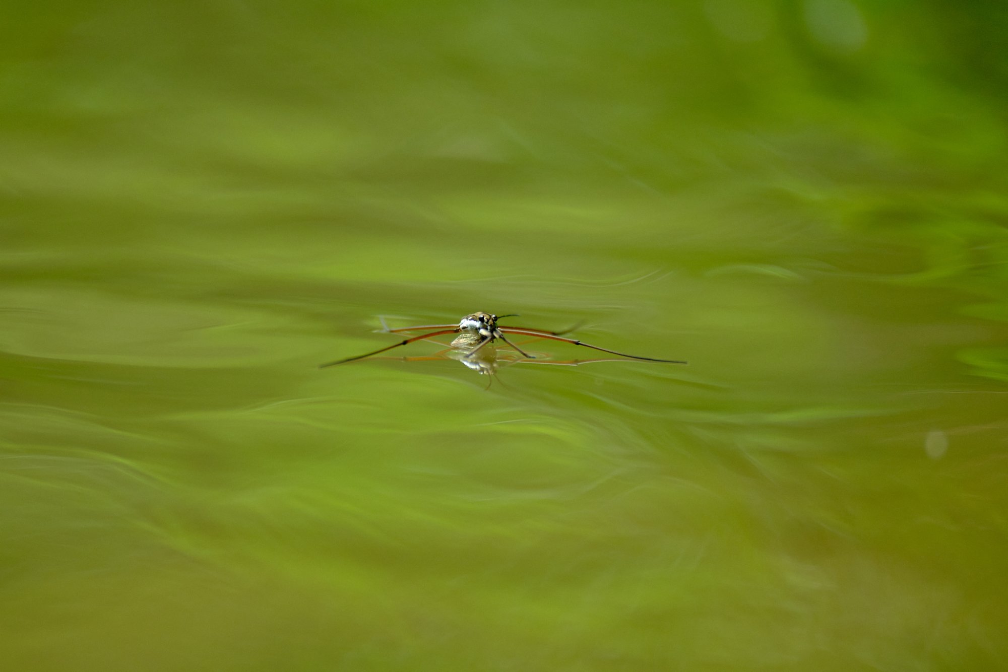 DSCF1276.jpg