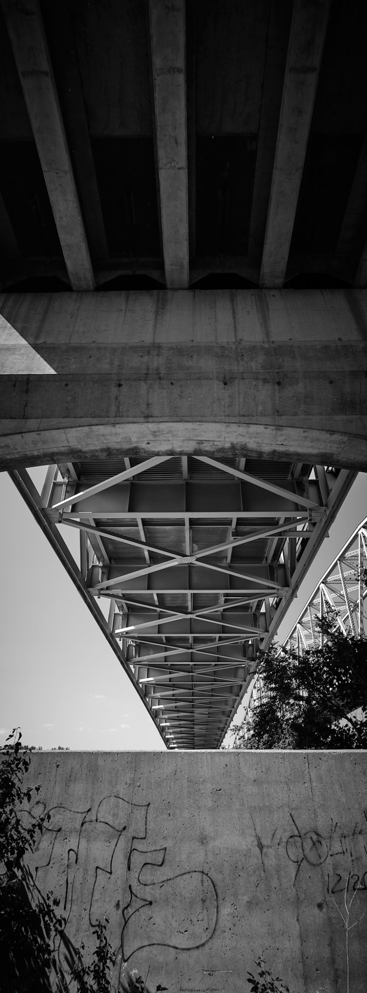 DSCF1318.jpg