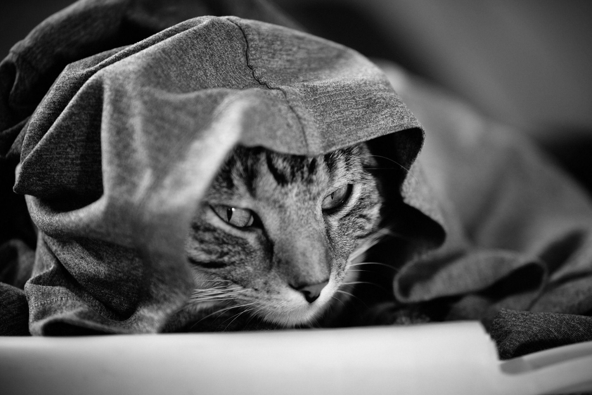 DSCF9118.jpg
