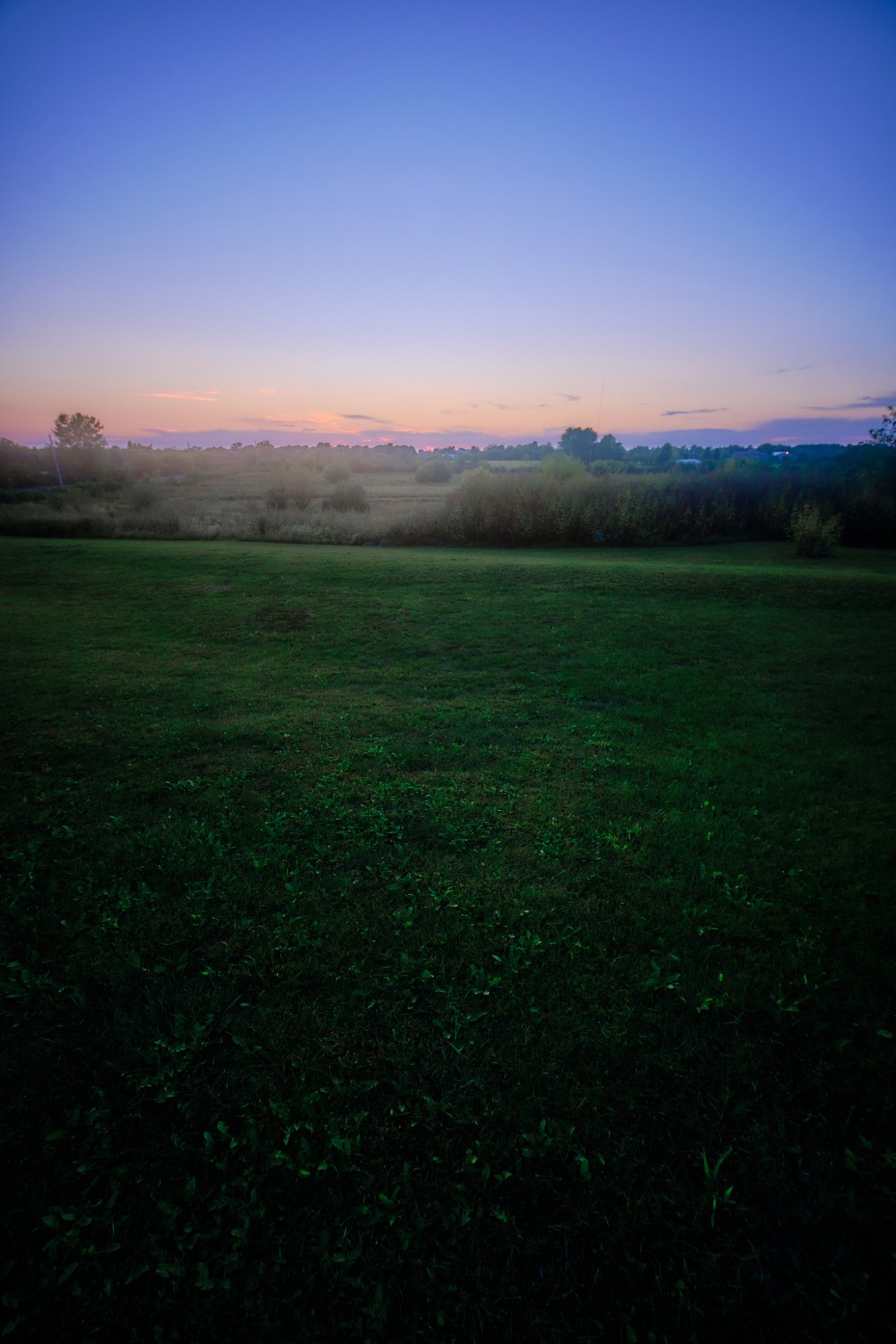 DSCF9131.jpg