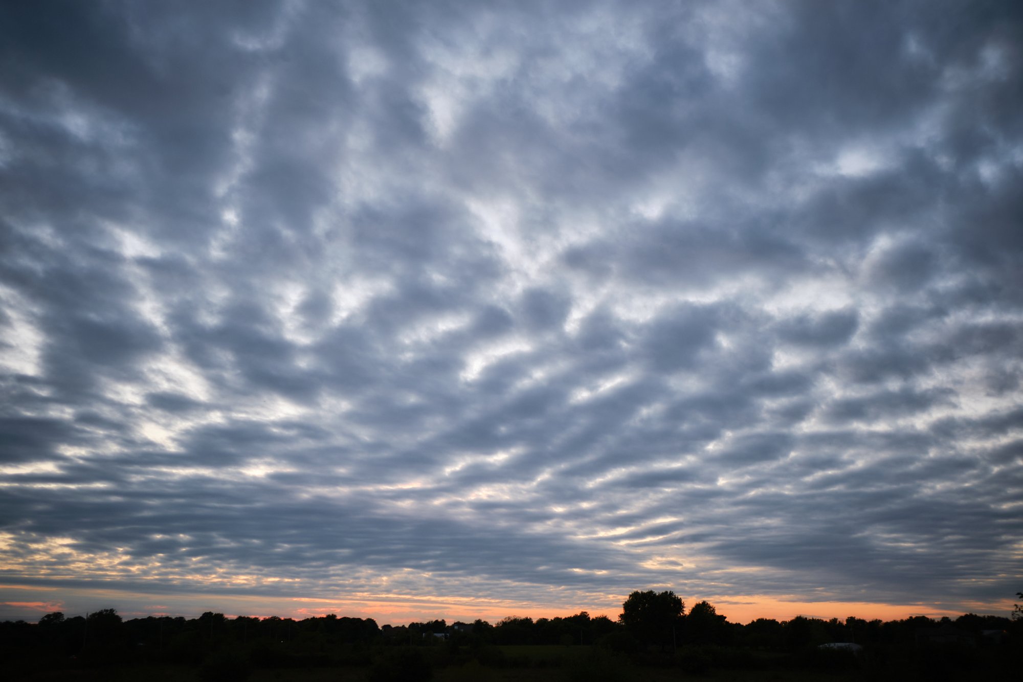 DSCF9171.jpg