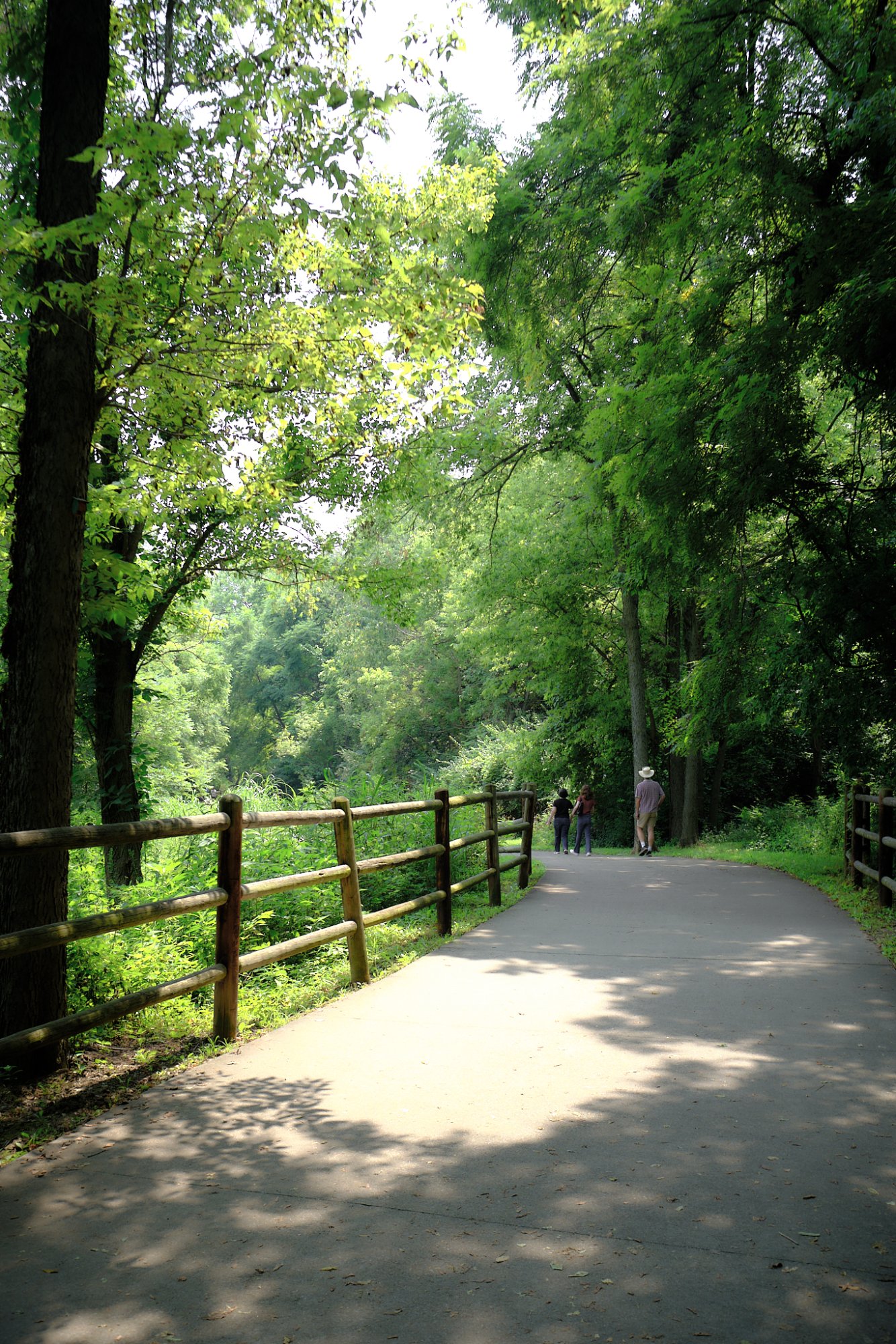 DSCF9456.jpg
