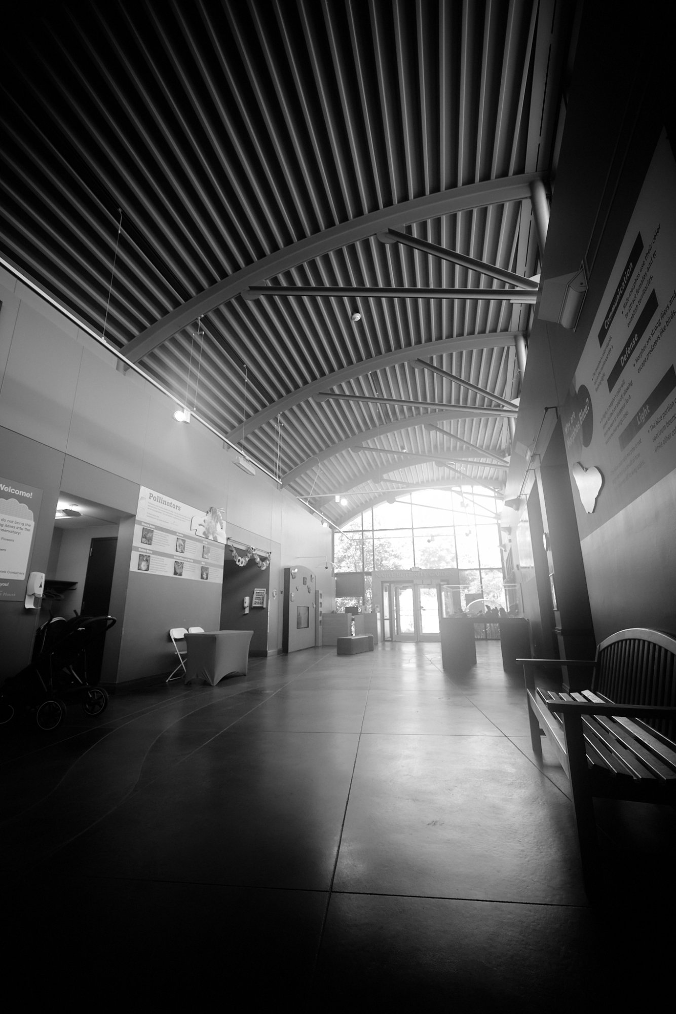 DSCF9856.jpg