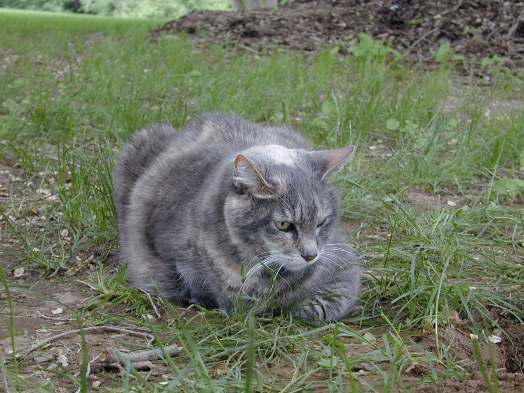 DSCN0520.JPG