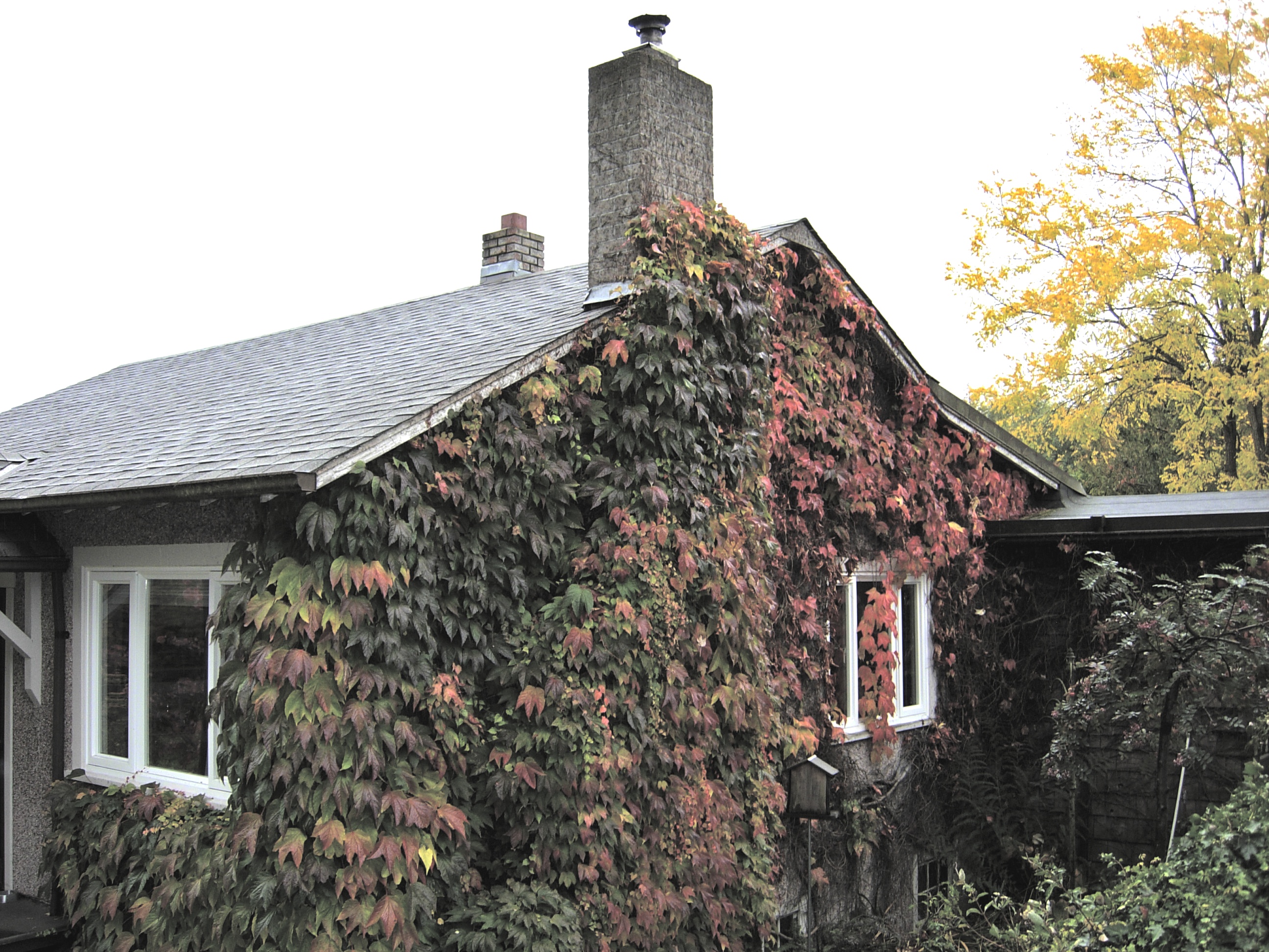 DSCN3016.JPG