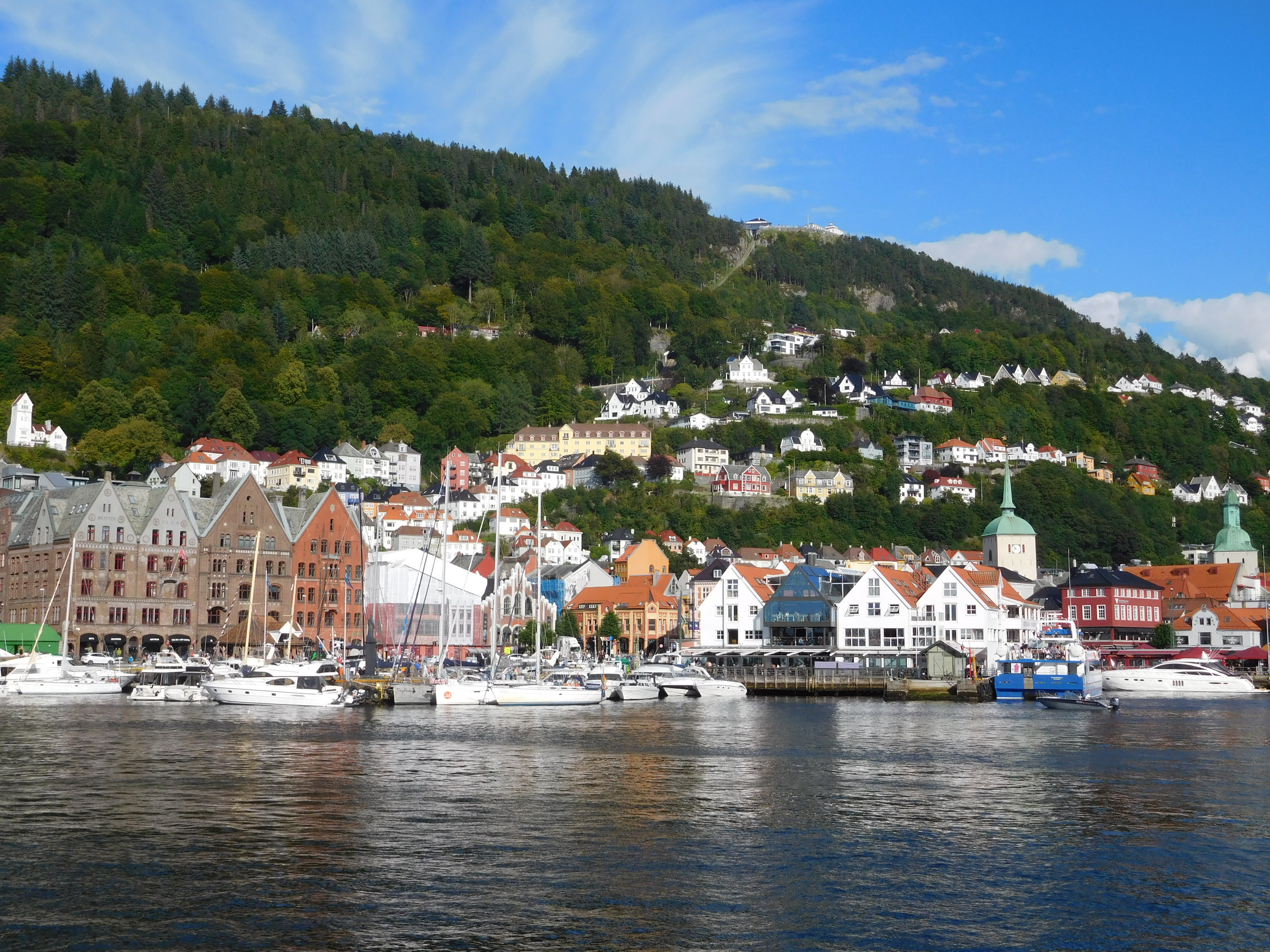 DSCN5636.JPG