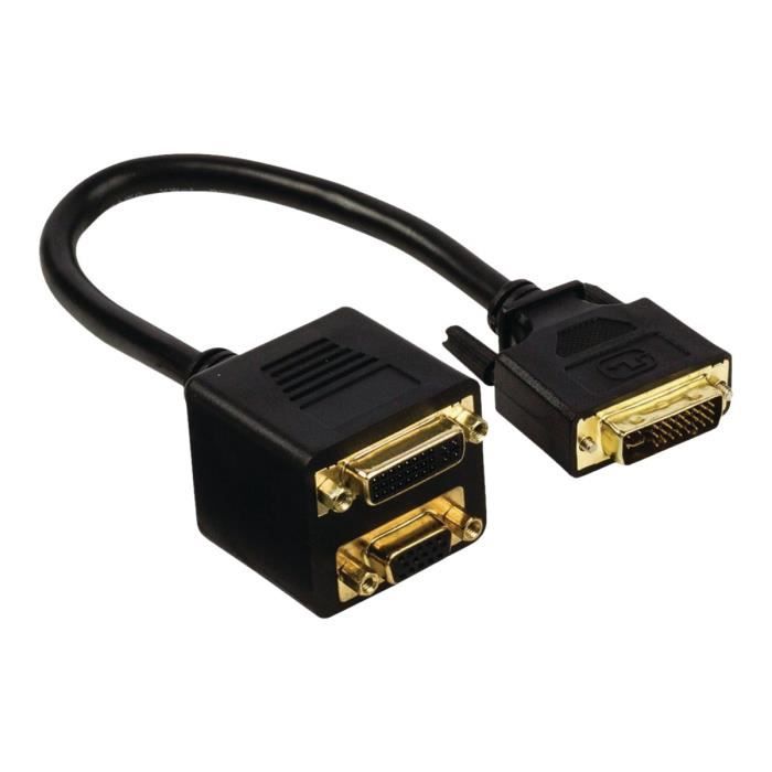 dvi-to-vga-and-dvi.jpg