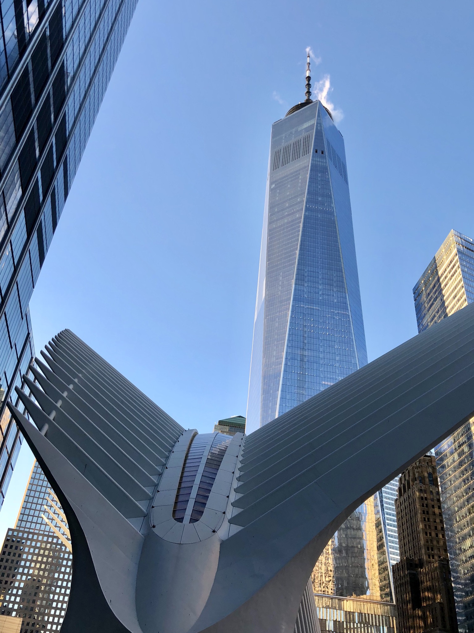 E22494EA-9339-4323-A1B9-E0E614424CEE.jpeg
