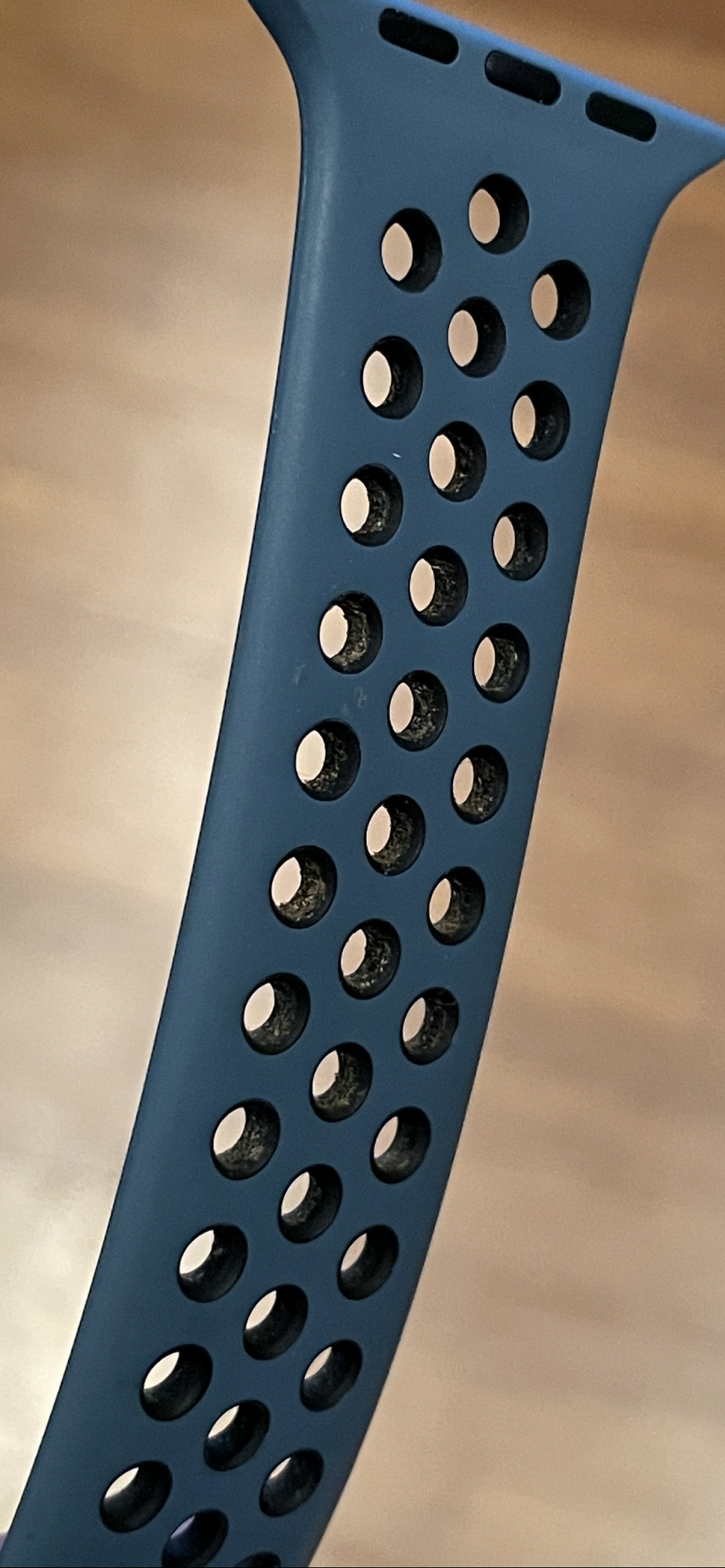 E3841324-4C7A-426D-9DA1-6BDB08DF0DBF.png