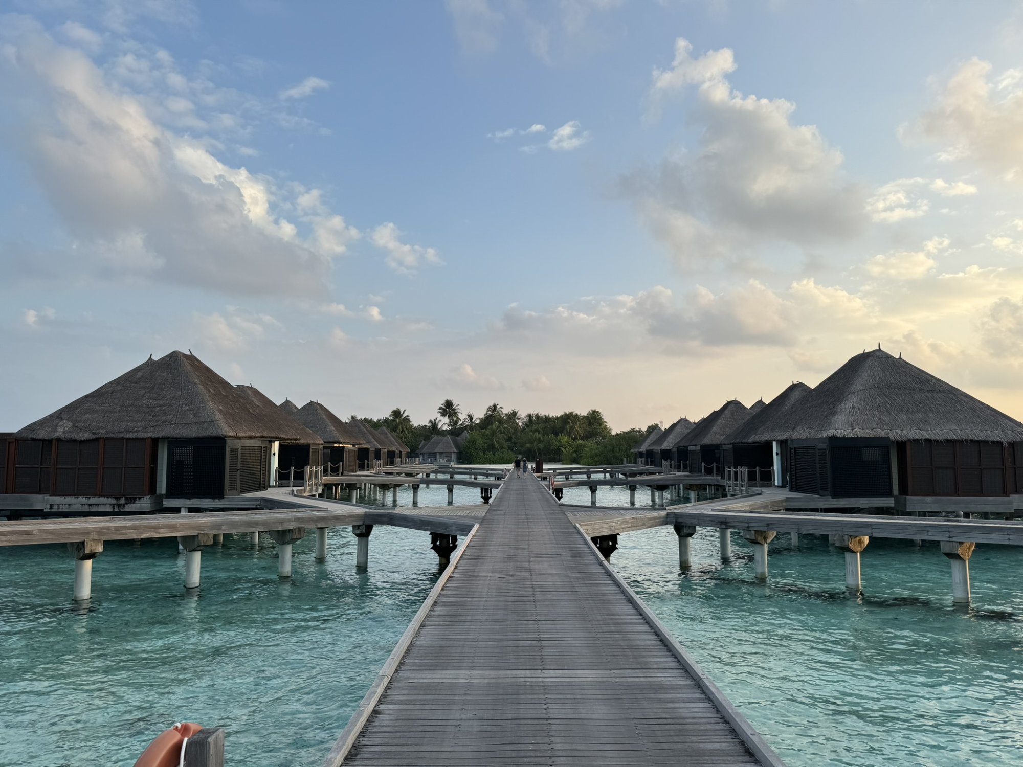 E46ACD76-374C-4A05-B34D-1248DF20AAC2_1_102_o.jpeg