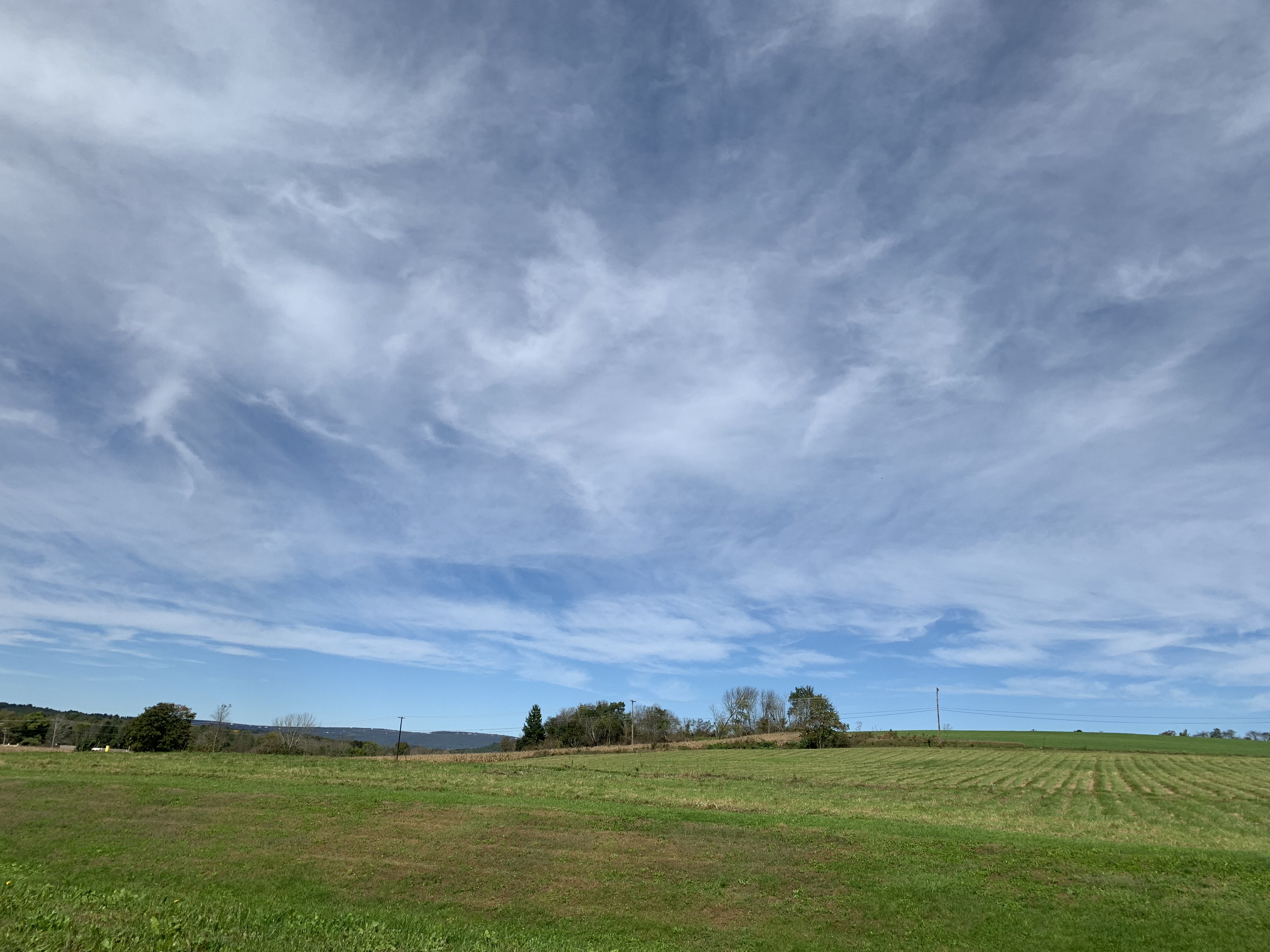 E5469DF9-54FA-4F16-A4AB-9A7DA60F80A8.jpeg