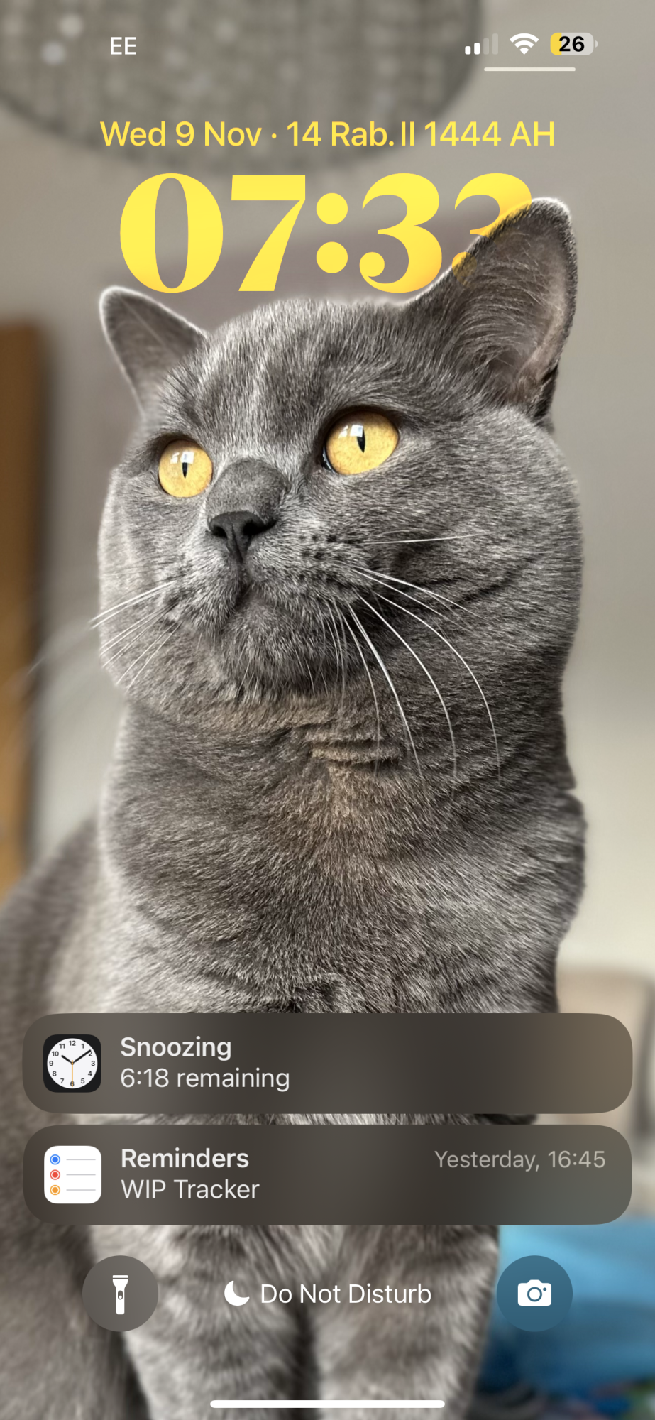 E68FB6DD-BE51-408A-8D70-B60F141C4873.png