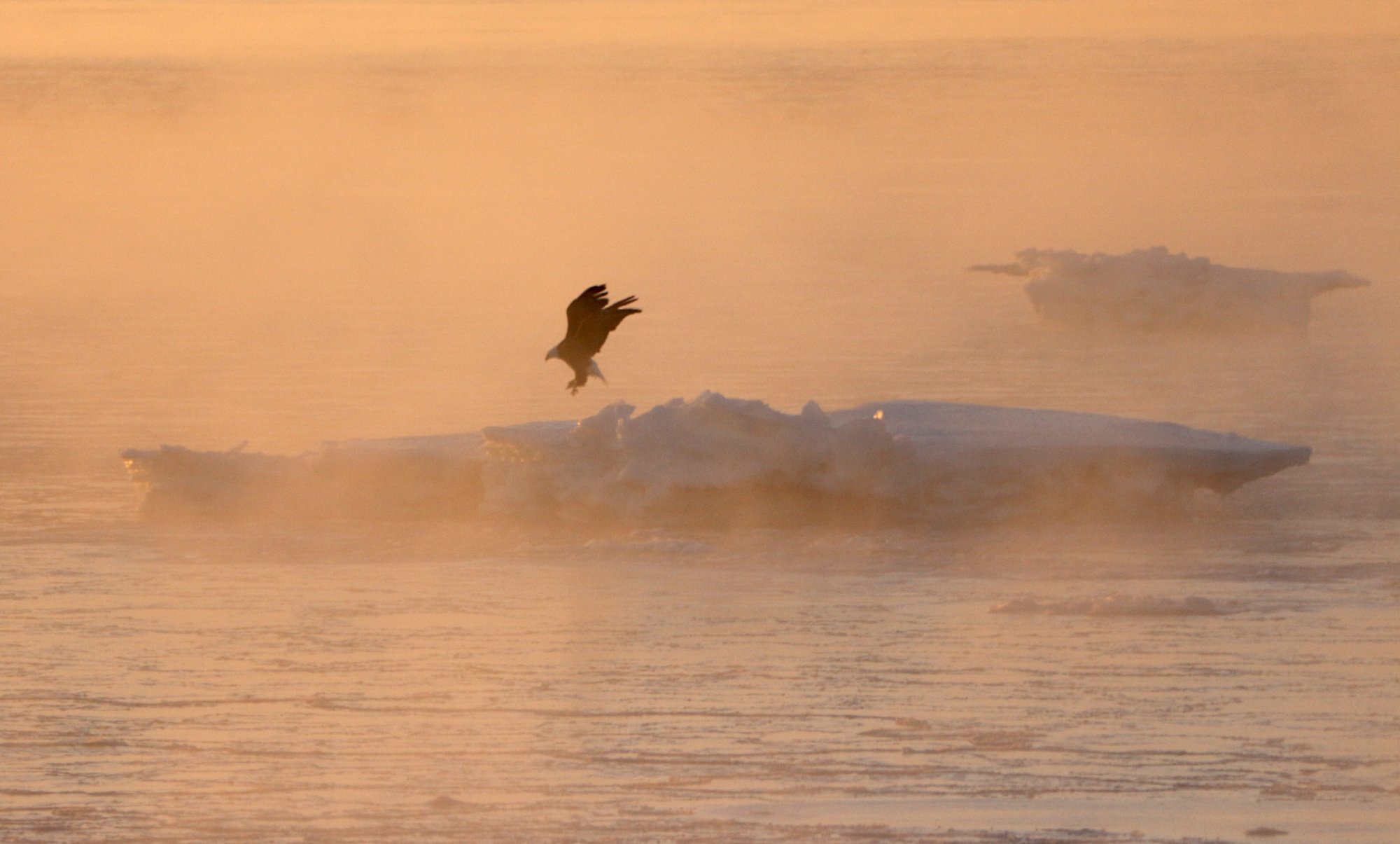 eagle ice.JPG