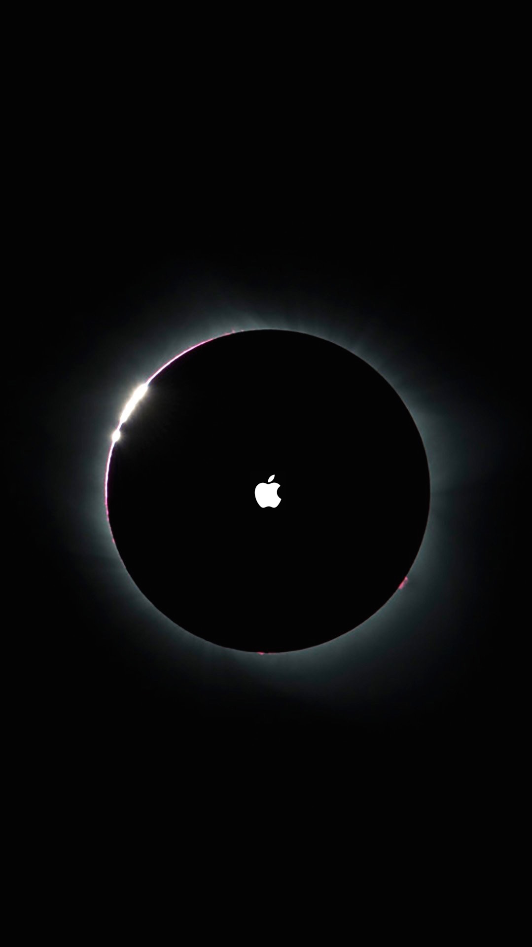 EBC9756C-488B-4ACB-BFDB-CF21293F1EA1.jpeg
