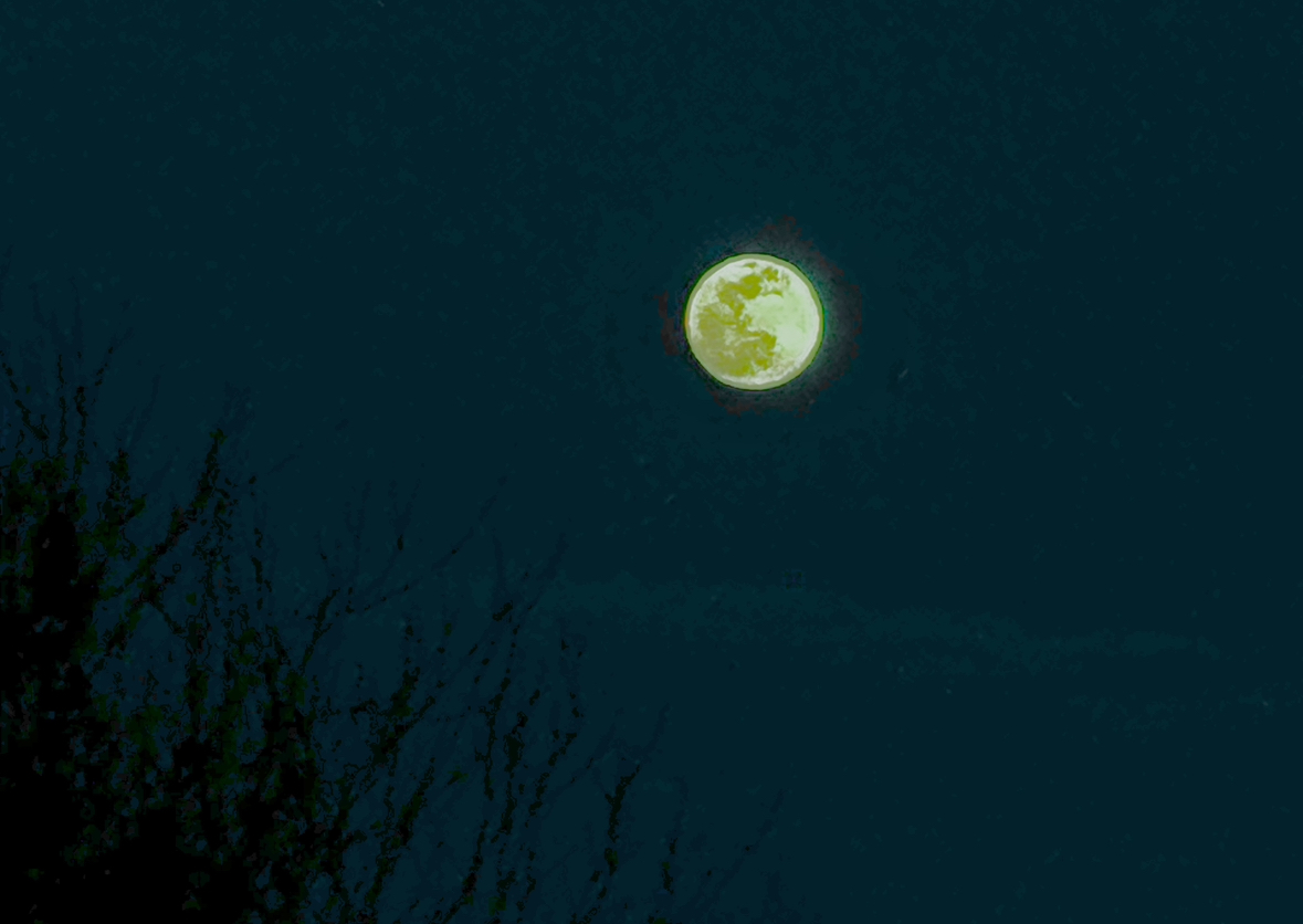 ED070D85-6FDD-47B0-89CE-D442C0DB57E2.jpeg