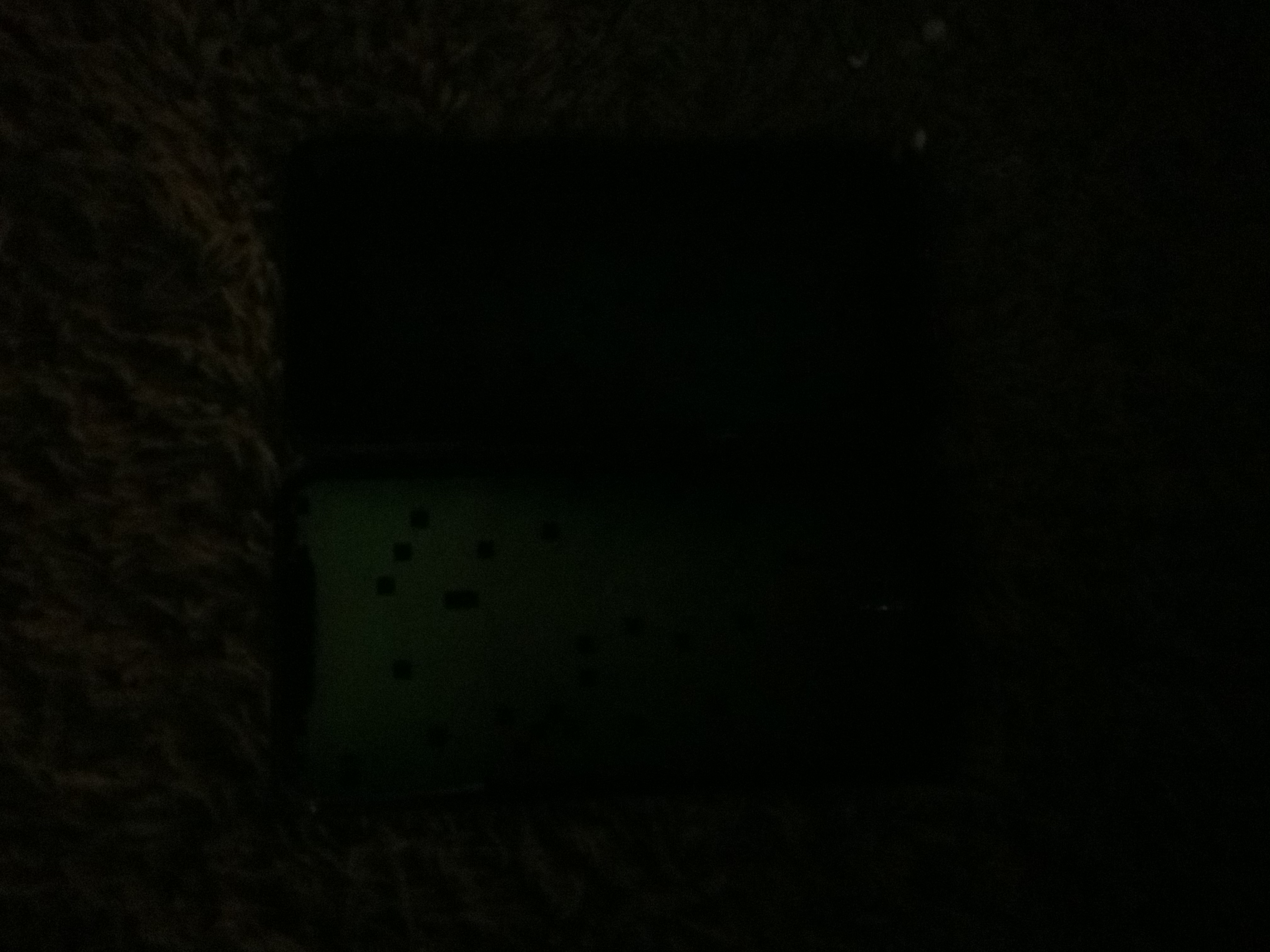 EDE15E4A-31E7-408B-8D0F-2E57CCF705E7.jpeg