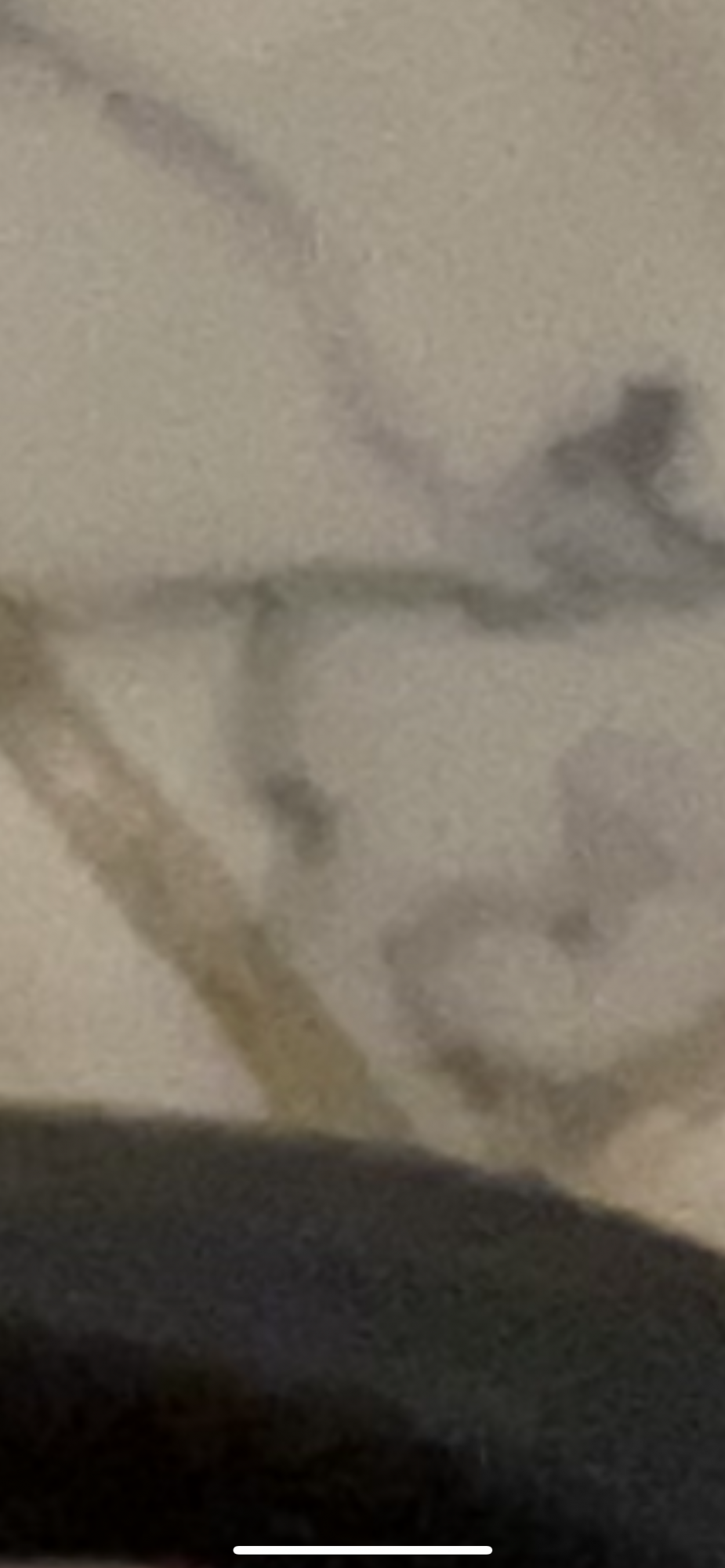 EF0F1A82-FDFF-45B3-BC51-4929AF91D2E2.png