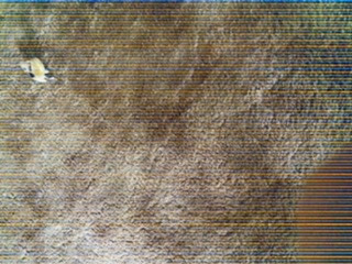 EF5E3A25-EB35-4D0F-B25D-00F2C010974F.jpeg