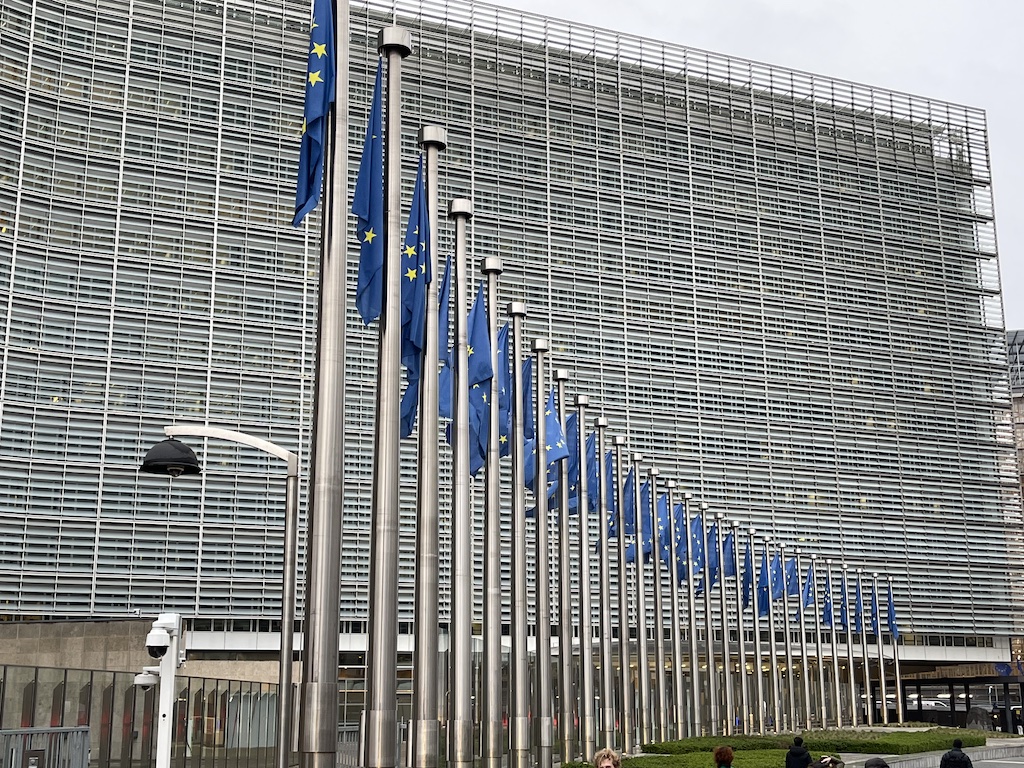 EU national flags.jpg