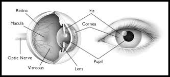 eyeball.jpg