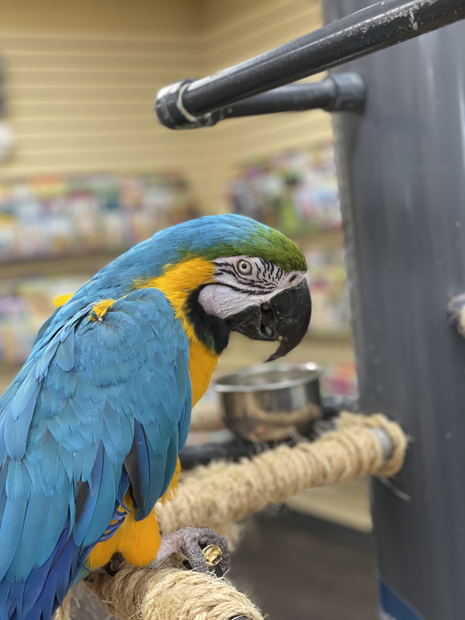 F072274F-4CE5-43CE-91EF-A59BC5D31DB3.jpeg