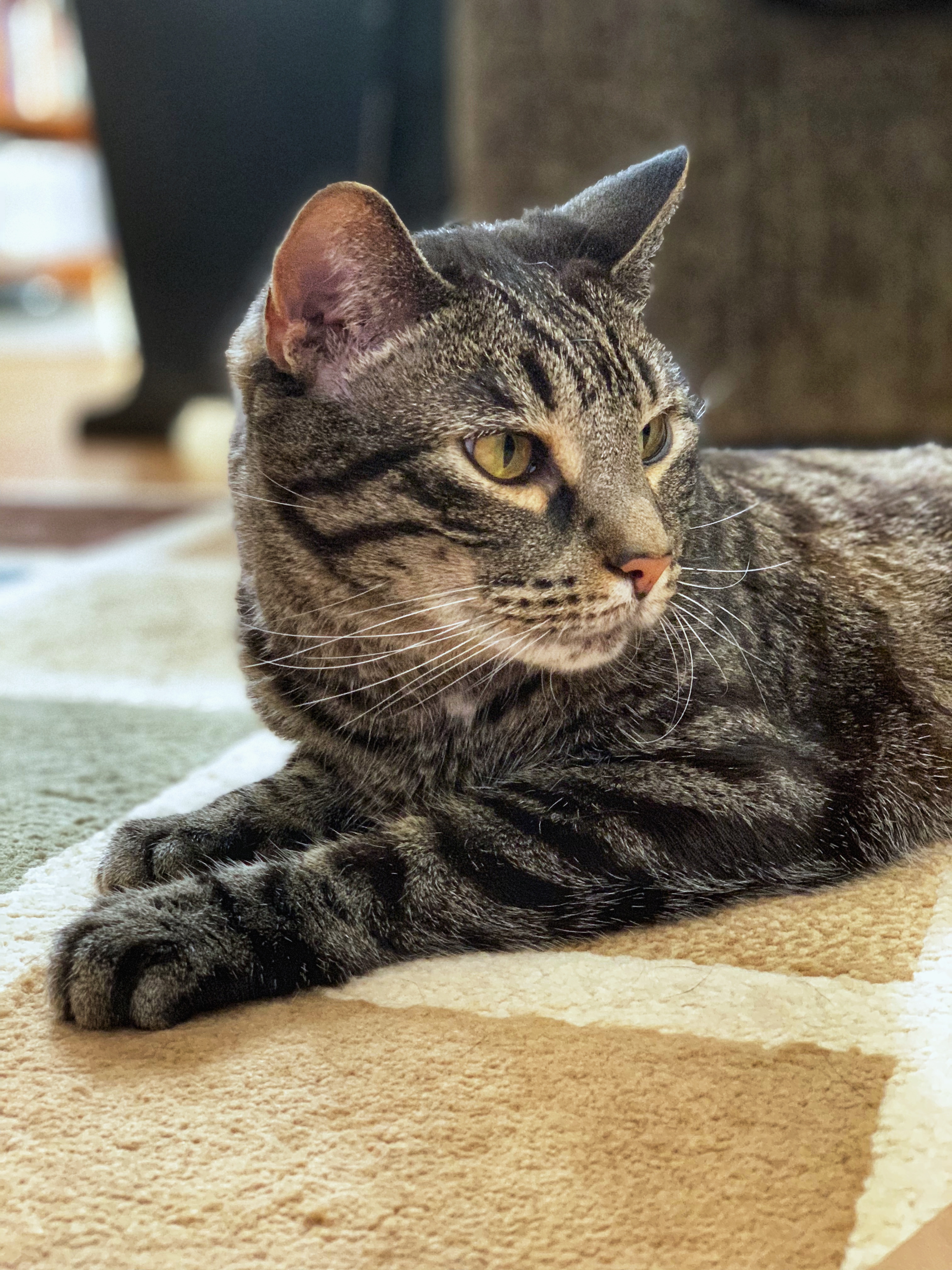 F1455229-4E12-4054-A0D5-143B449337D9.jpeg