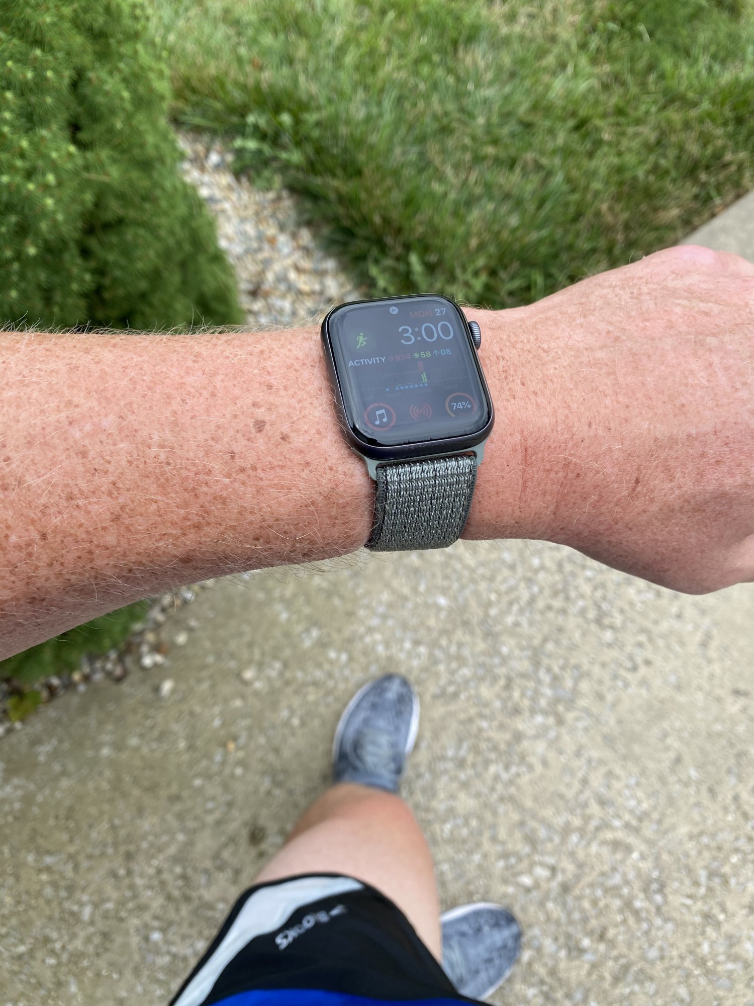 apple watch spruce fog