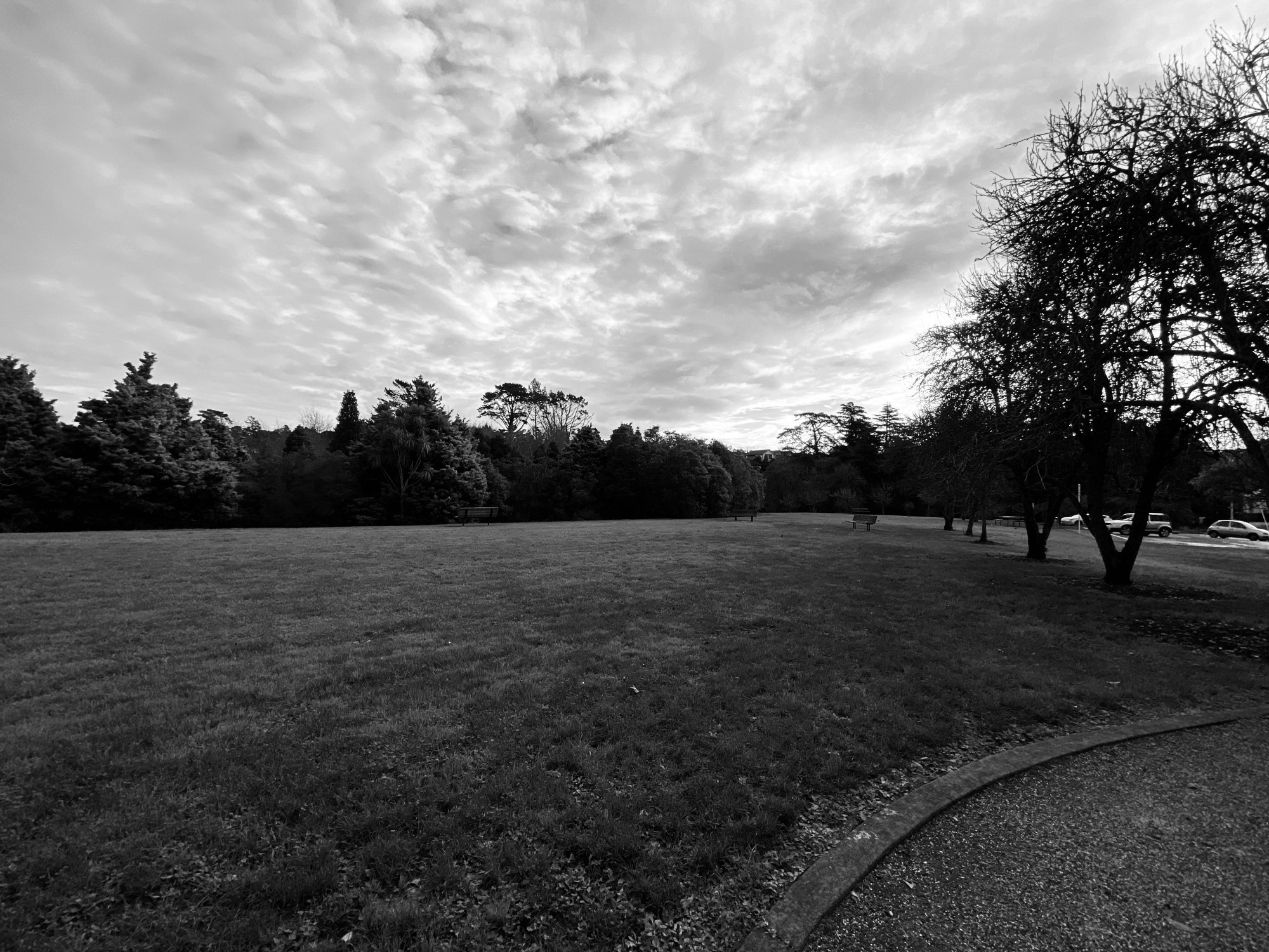 F607C2E5-0BCC-425F-BEEB-3A330D698F96.jpeg